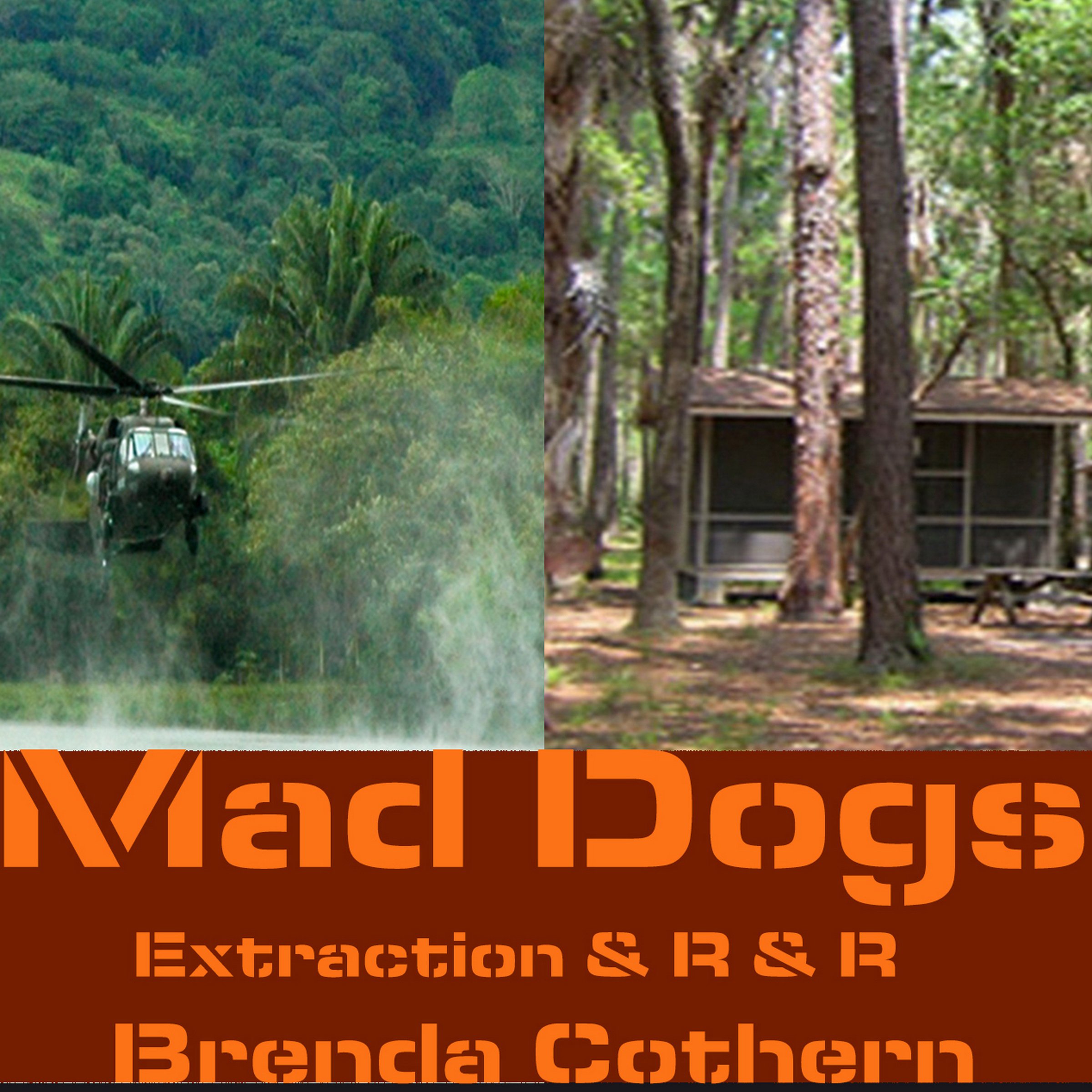 Cover art for Mad Dogs 3 & 4