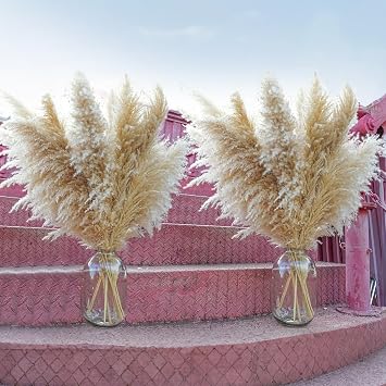 40pcs 40 Pampas Grass Tall Decor - Pompas Floral, Tall Pampas Grass for Floor Vases, Living Room Floor, Floor Plants, Plumas para, and Grass Wall Decor