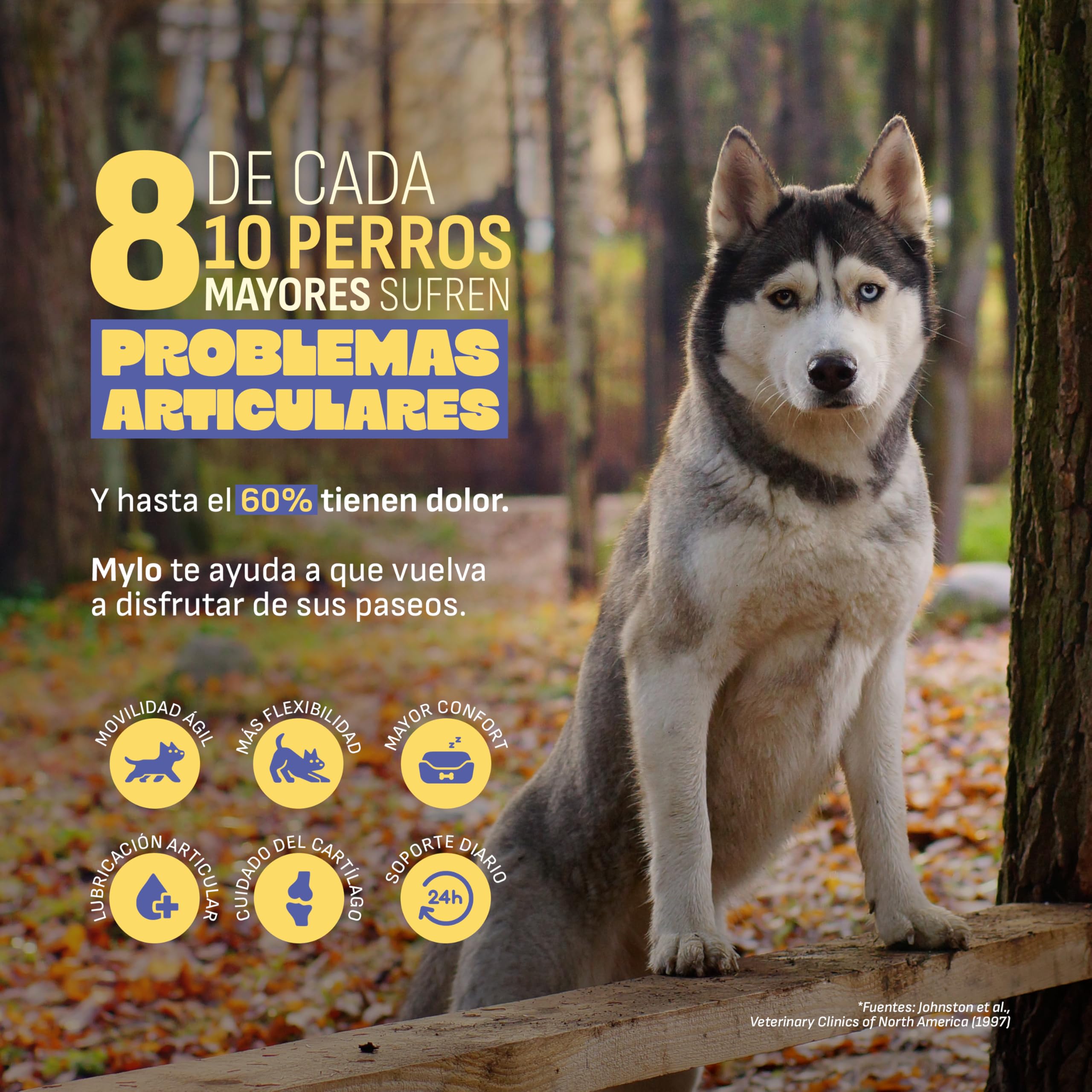 MYLO Condroprotector Perros Articulaciones Perro, Movilidad y Confort. Glucosamina, MSM y Colágeno para Fortalecer Cartílago. Mejillón de Labio Verde Antiinflamatorio Perros Natural. 60 Uds