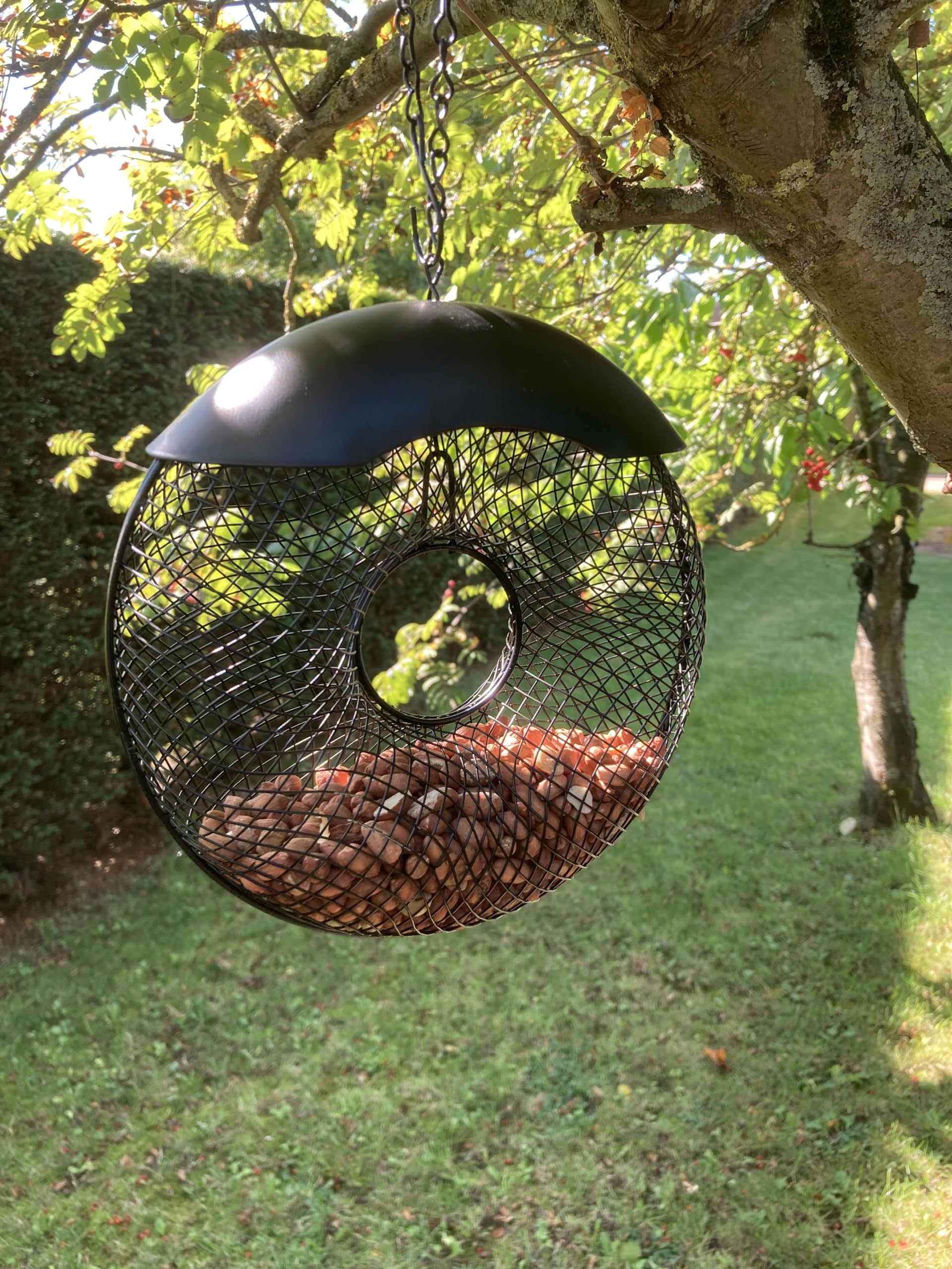 Oakdale Donut Premium Peanut Wild Bird Feeder - Easy Refillable Outdoor Hanging Garden Decoration For Birdwatching - Image 4