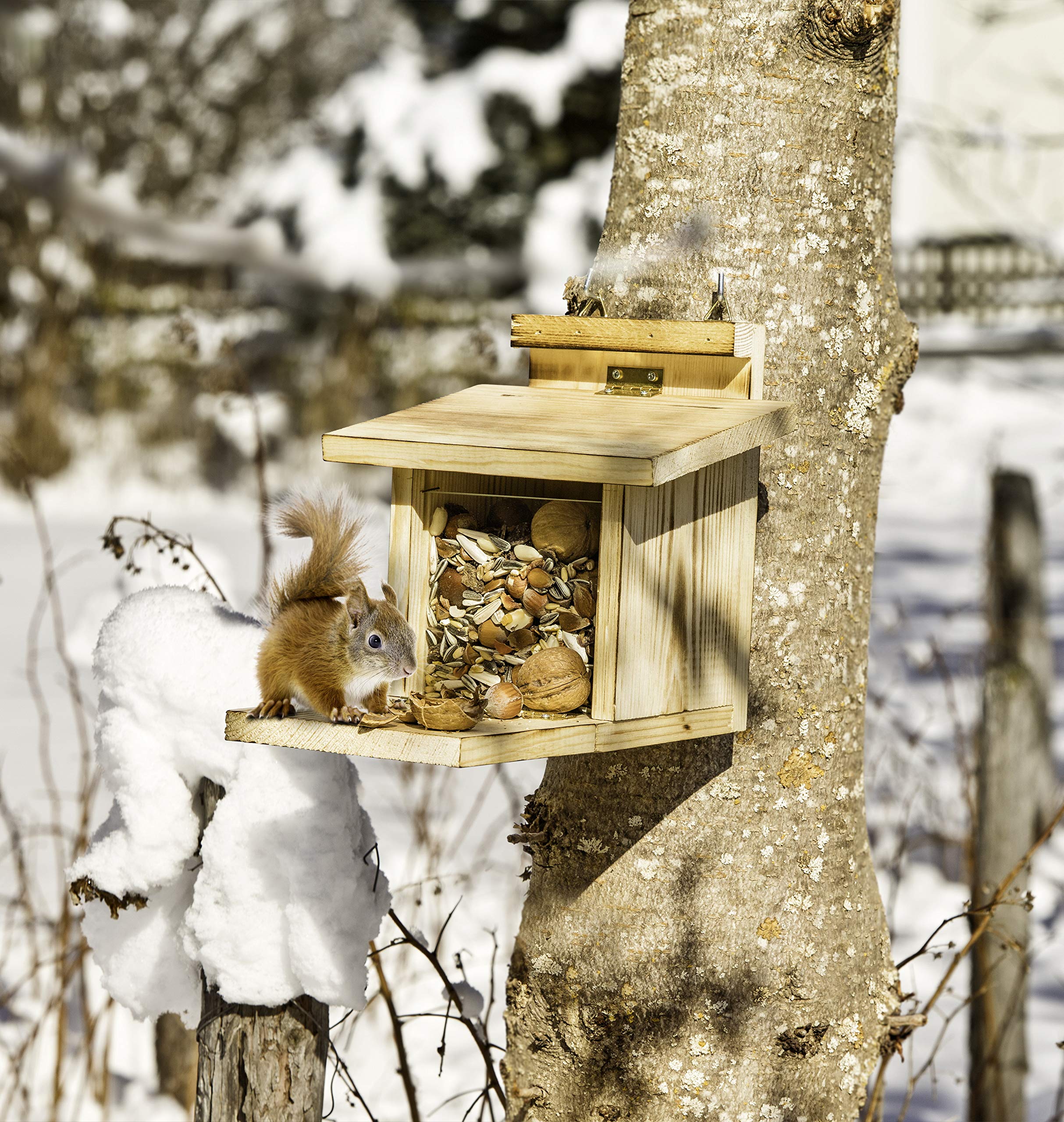 Windhager Mangiatoia per mangiatoie con scoiattolo, mangiatoia, mangiatoia, stazione di noce, aiuto per l'inverno, scatola per il cibo in legno 05586