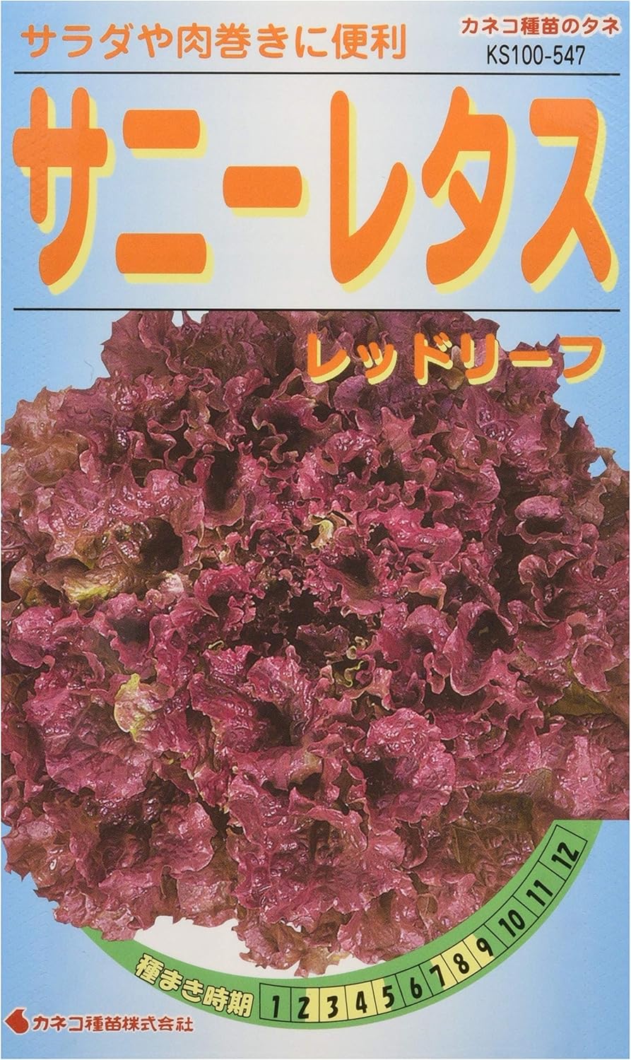 Amazon カネコ種苗 園芸 種 Ks100シリーズ サニーレタス レッドリーフ 野菜100 547 野菜