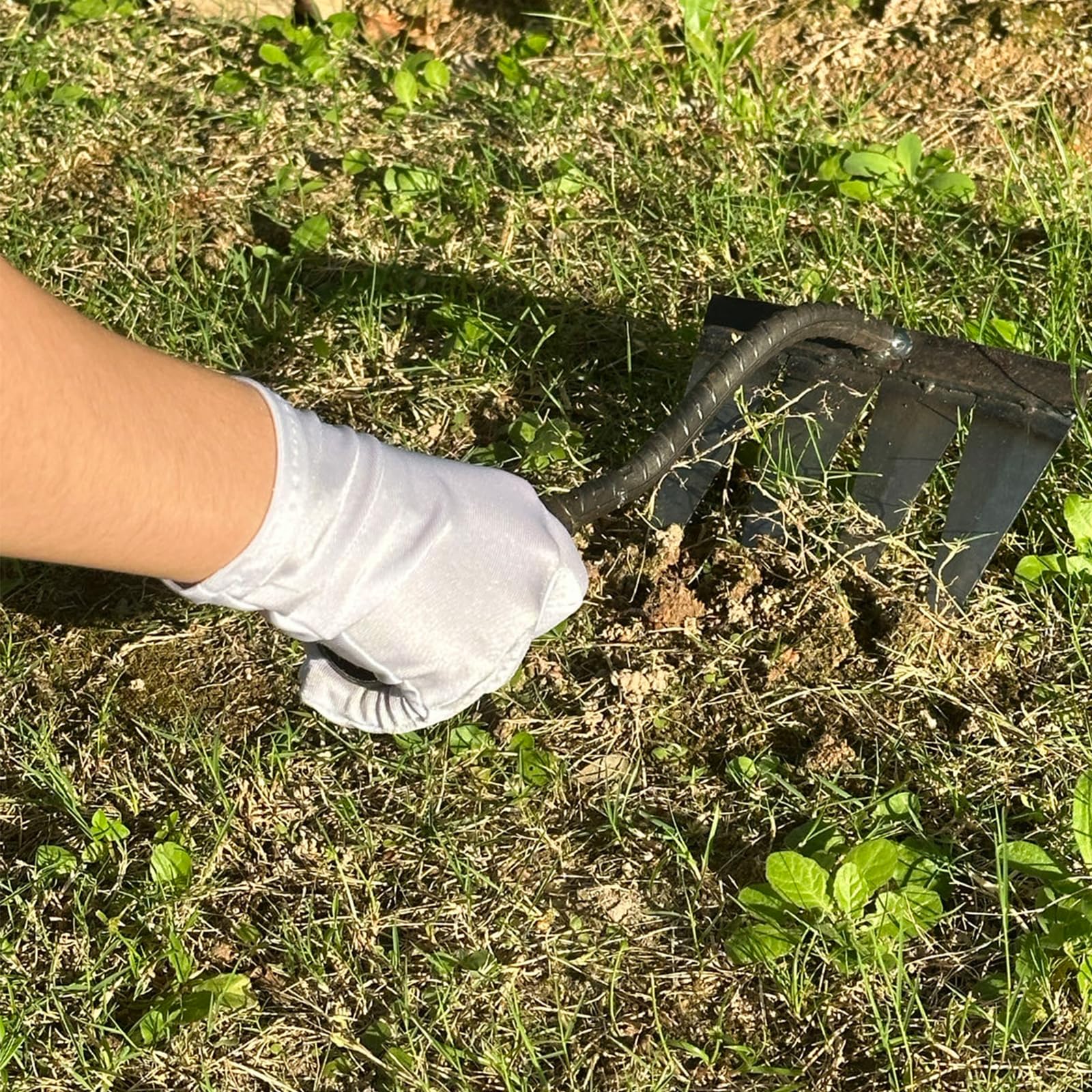 2 rastrelli da giardino in carbonio, in metallo, resistente, per diserbo e zappa, rastrello in ferro, per giardino, giardino, diserbo, allentamento, piantagione, 4 e 6 denti