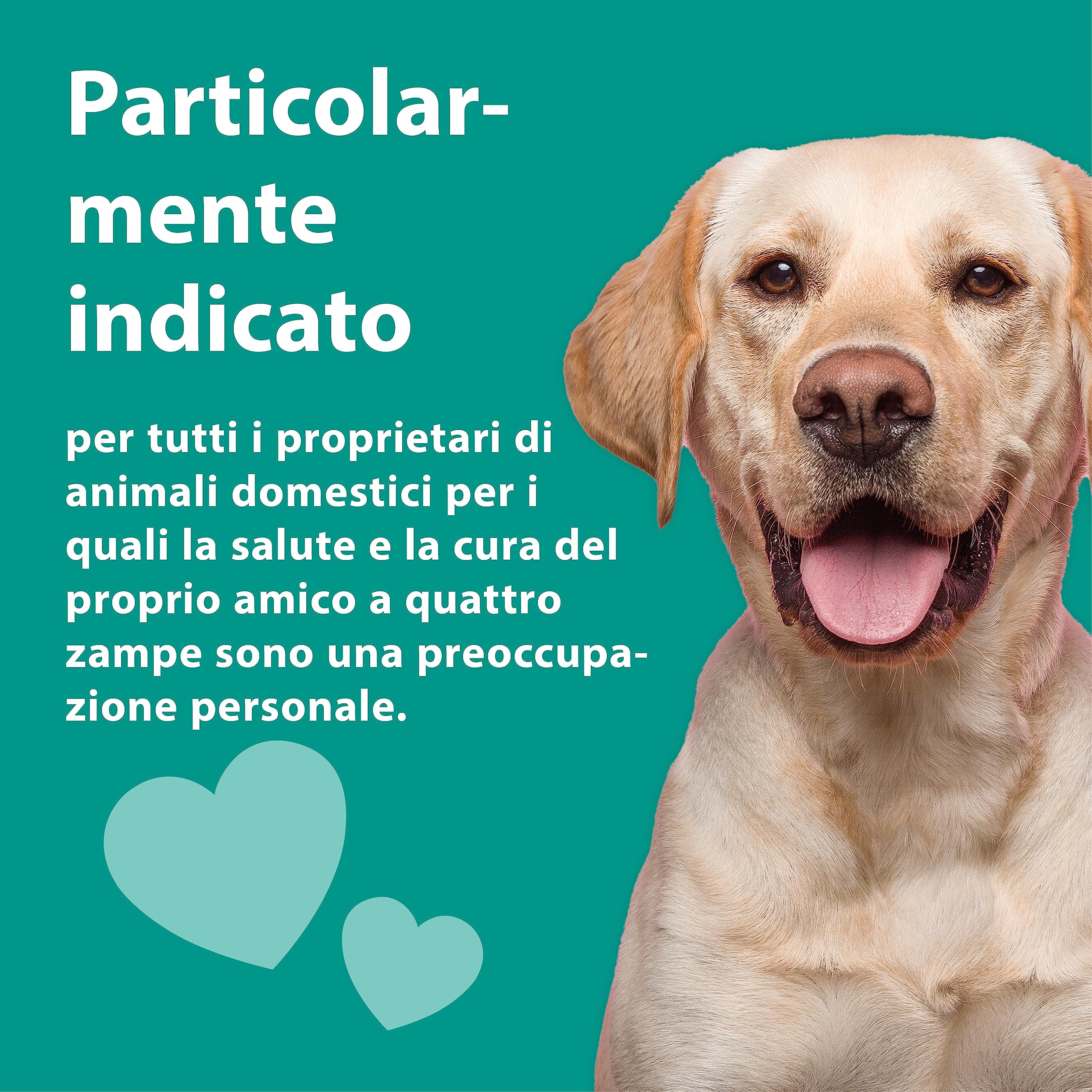 emmi-pet 1x Orozyme gel dentale per cani e gatti con funzione autopulente I Dentifricio per cani