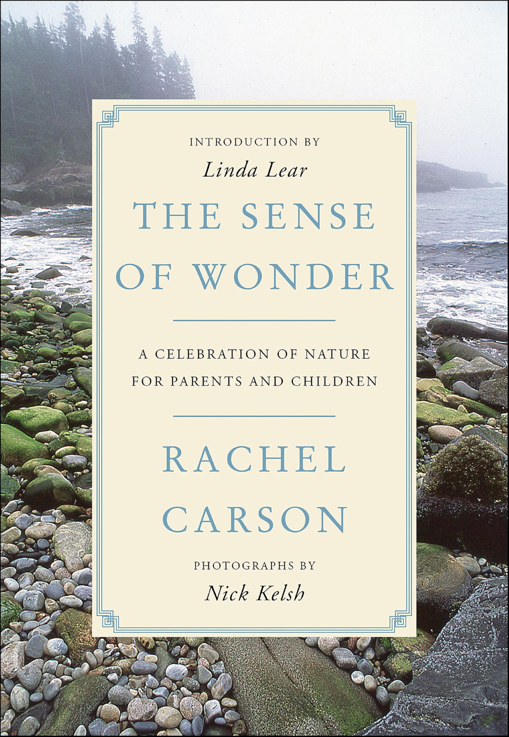 Kindle eBooks in English