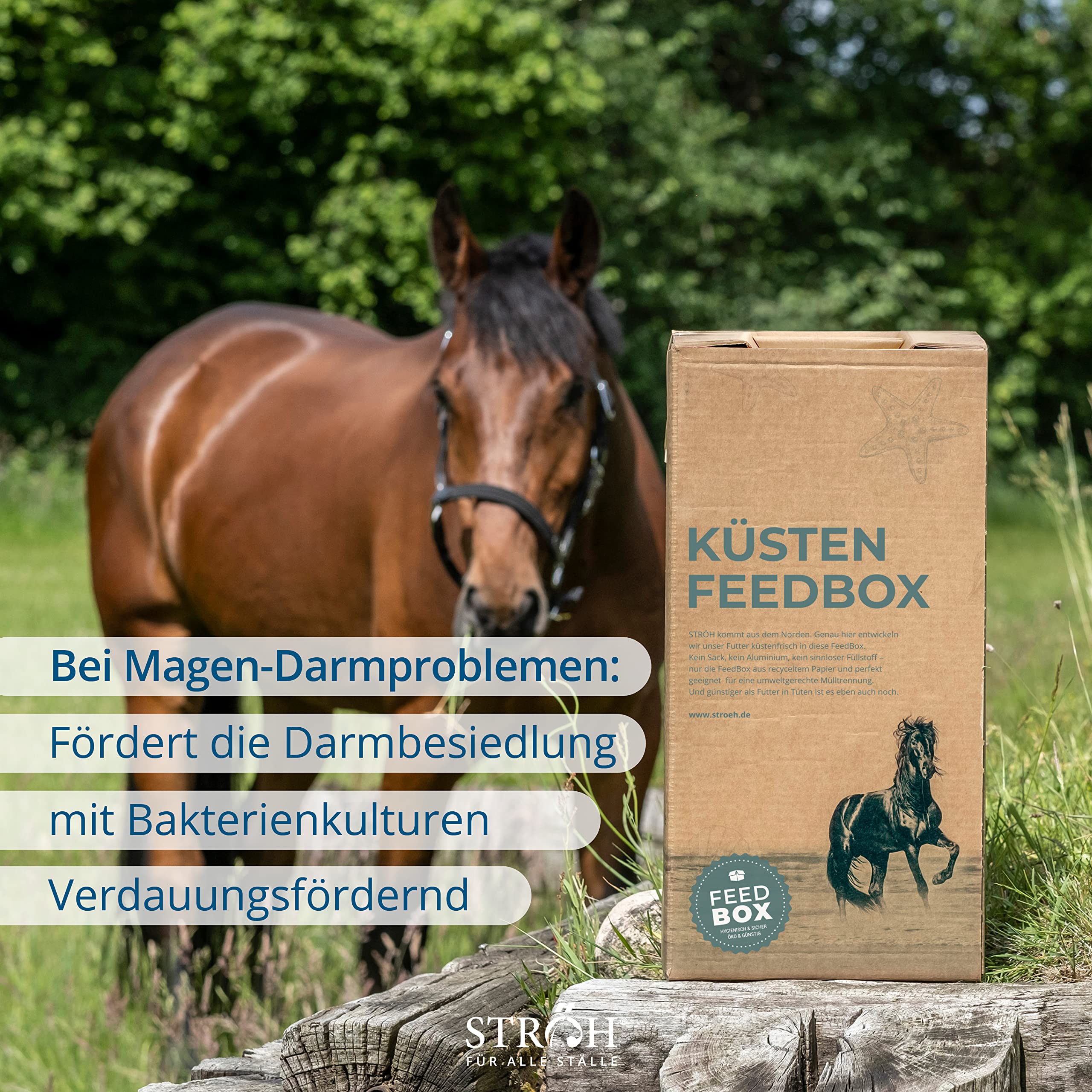 STRÖH Johannisbrot für Pferde - 26kg Feedbox - 100% Natürlich, ohne Zusätze | Bei Durchfall, Kotwasser, Darm- & Verdauungsproblemen - Mit Ballaststoffen - Natürlich süßer Geschmack - Wenig Zucker & Fett