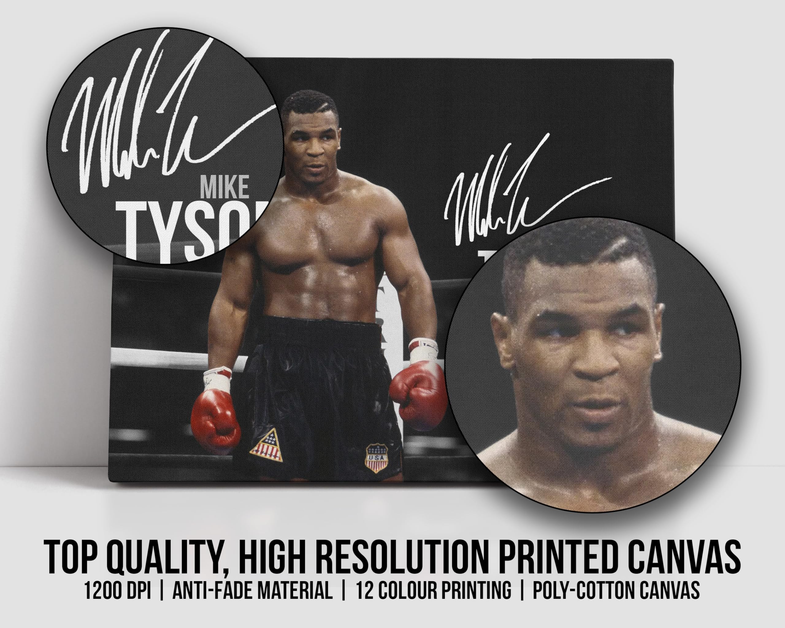 HWC Trading Stampa su tela autografata di Mike Tyson, 40,6 x 30,5 cm, per fan dei boxer, solo tela