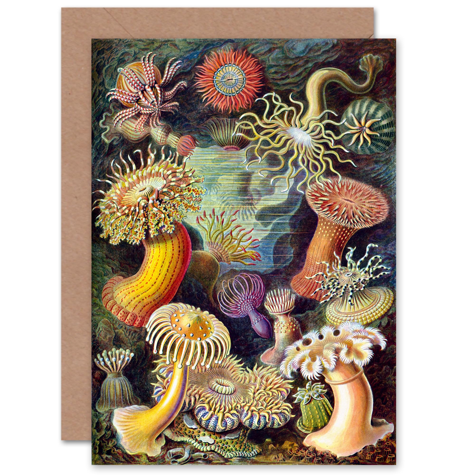 Artery8 Scuba Diving Seabed Scene for Him or Her Man Woman for All Occasions Blank Art Greeting Card