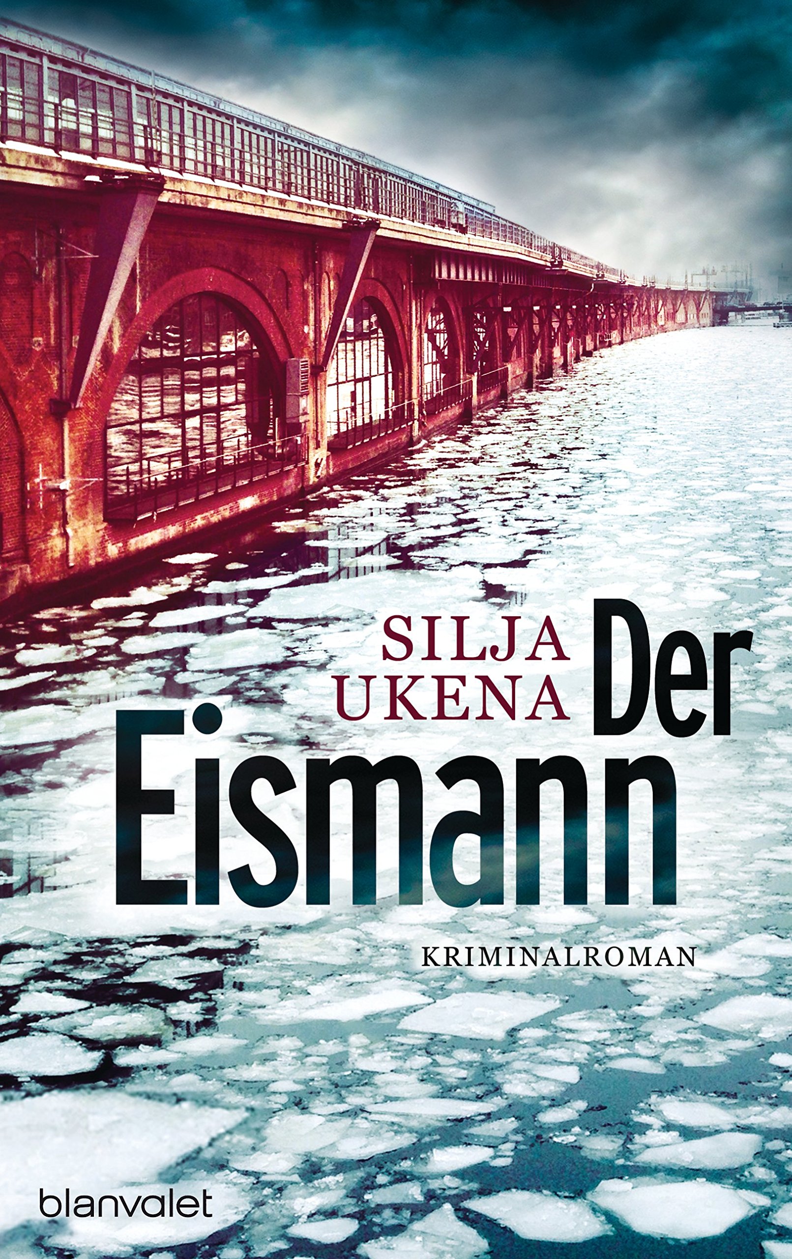 Der Eismann: Kriminalroman (German Edition)