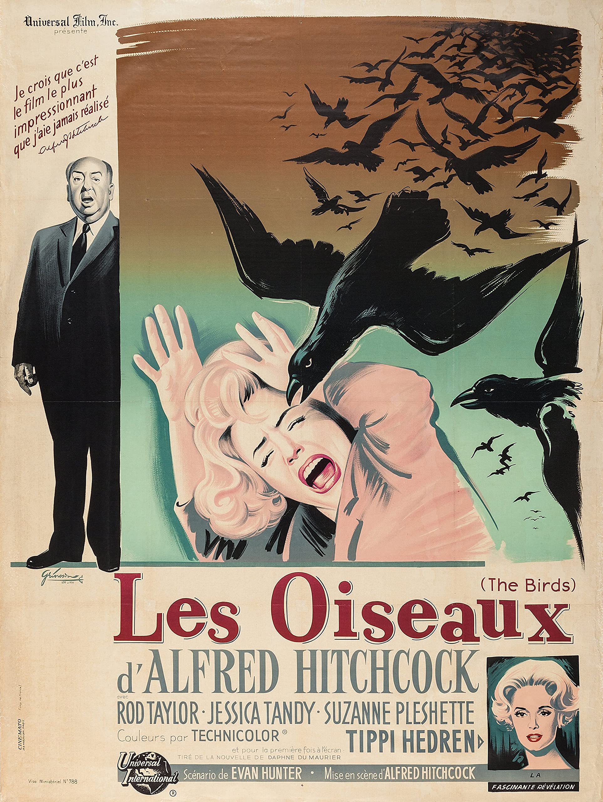 Tallenge - The Birds (Les Oiseaux - French Release) - Alfred Hitchcock Classic Suspense Film Poster - Large Poster(Paper,18x24� inches, MultiColour)
