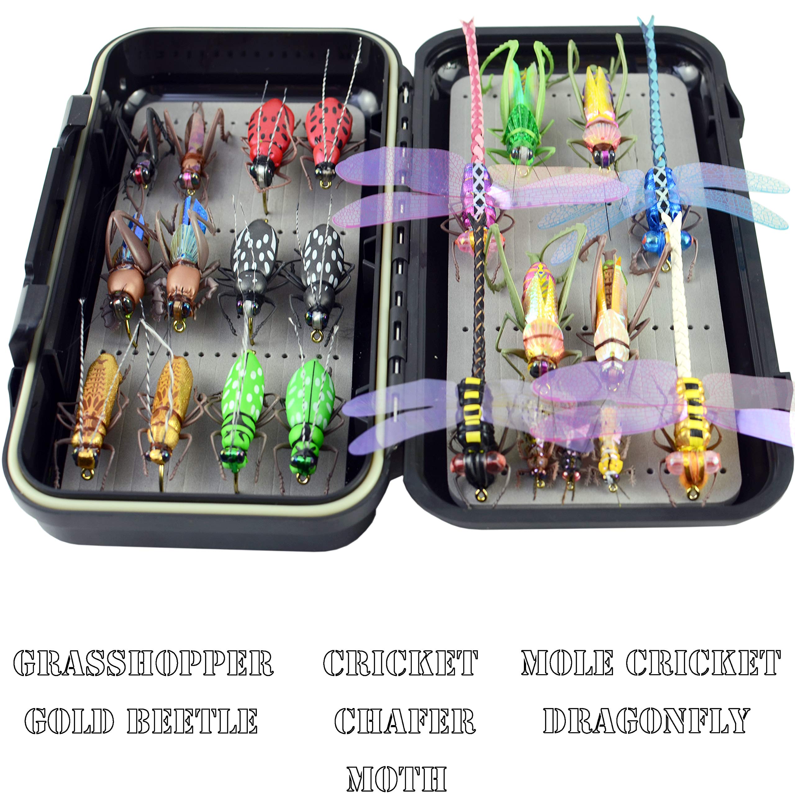 Kit De Pêche à La Mouche Complet – Pour Truite, Eau Douce, 300m, Occasion Kit De Pêche à La Mouche Complet – Pour Truite, Eau Douce, 300m, Occasion