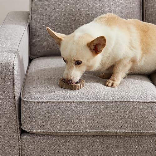 Miniatura 9 de Petstages - Masticables para perros - Palillos masticables seguros y de larga duración - Varillas de mascar alternativas resistentes para perros