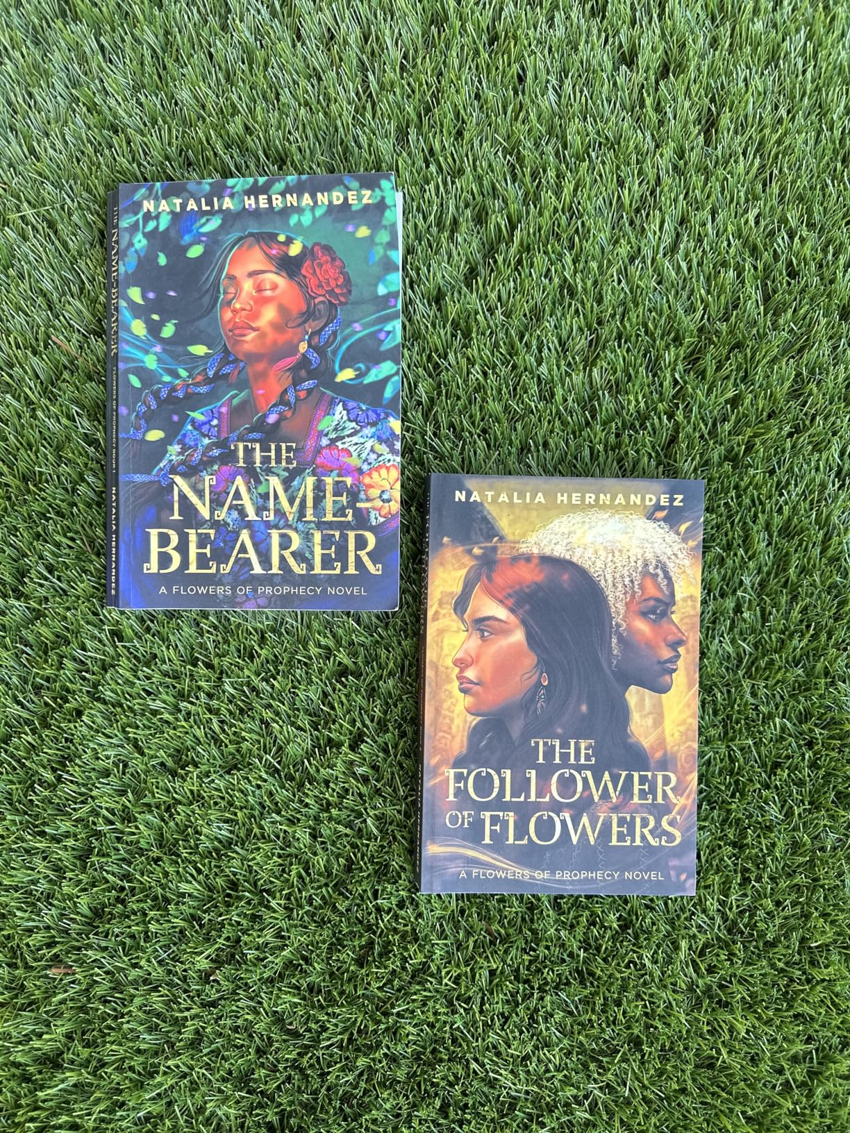 The NameBearer Flowers of Prophecy Book 1 eBook