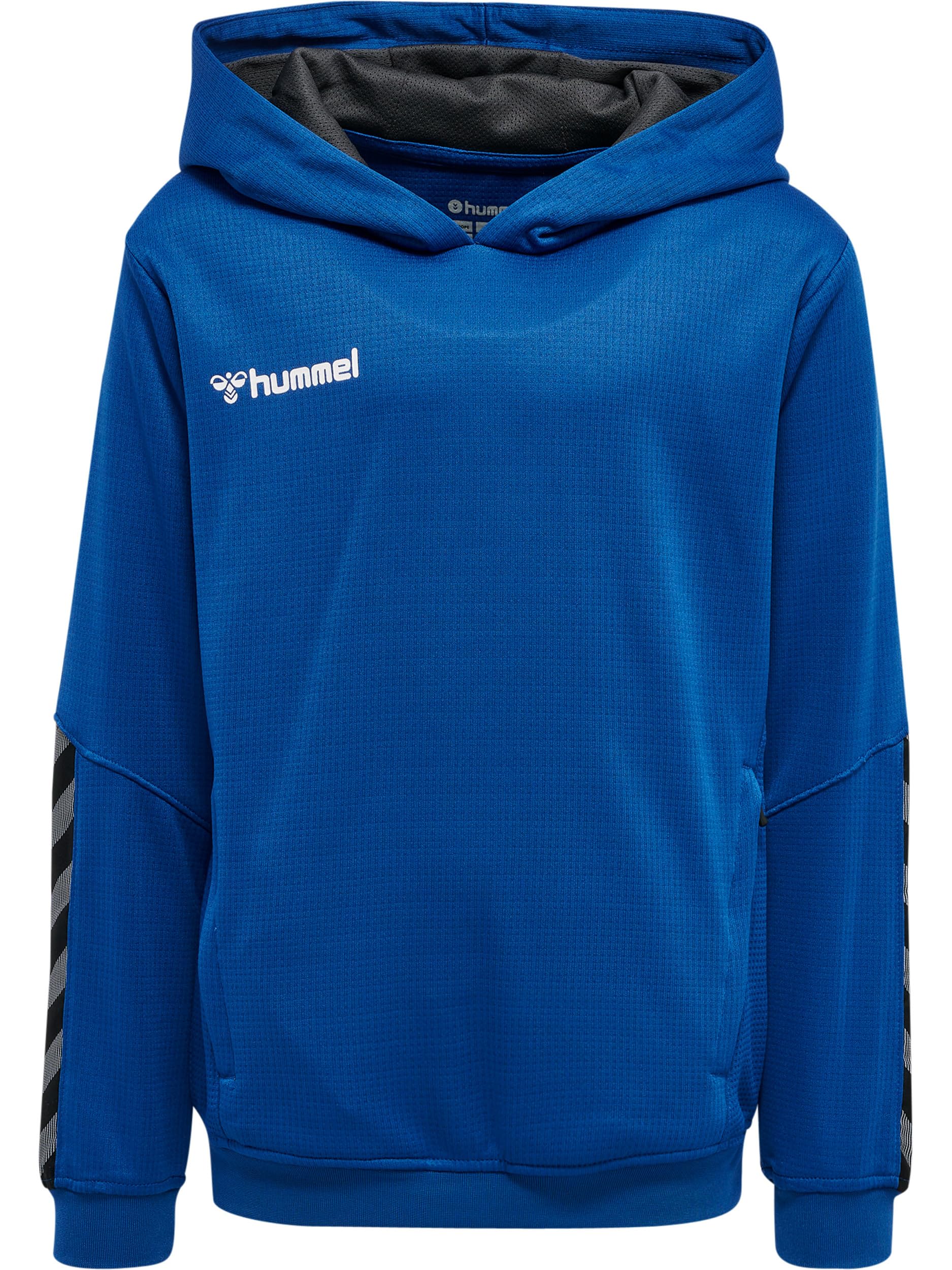 hummel Boys' Authentic Kids Poly Hoodie True Blue