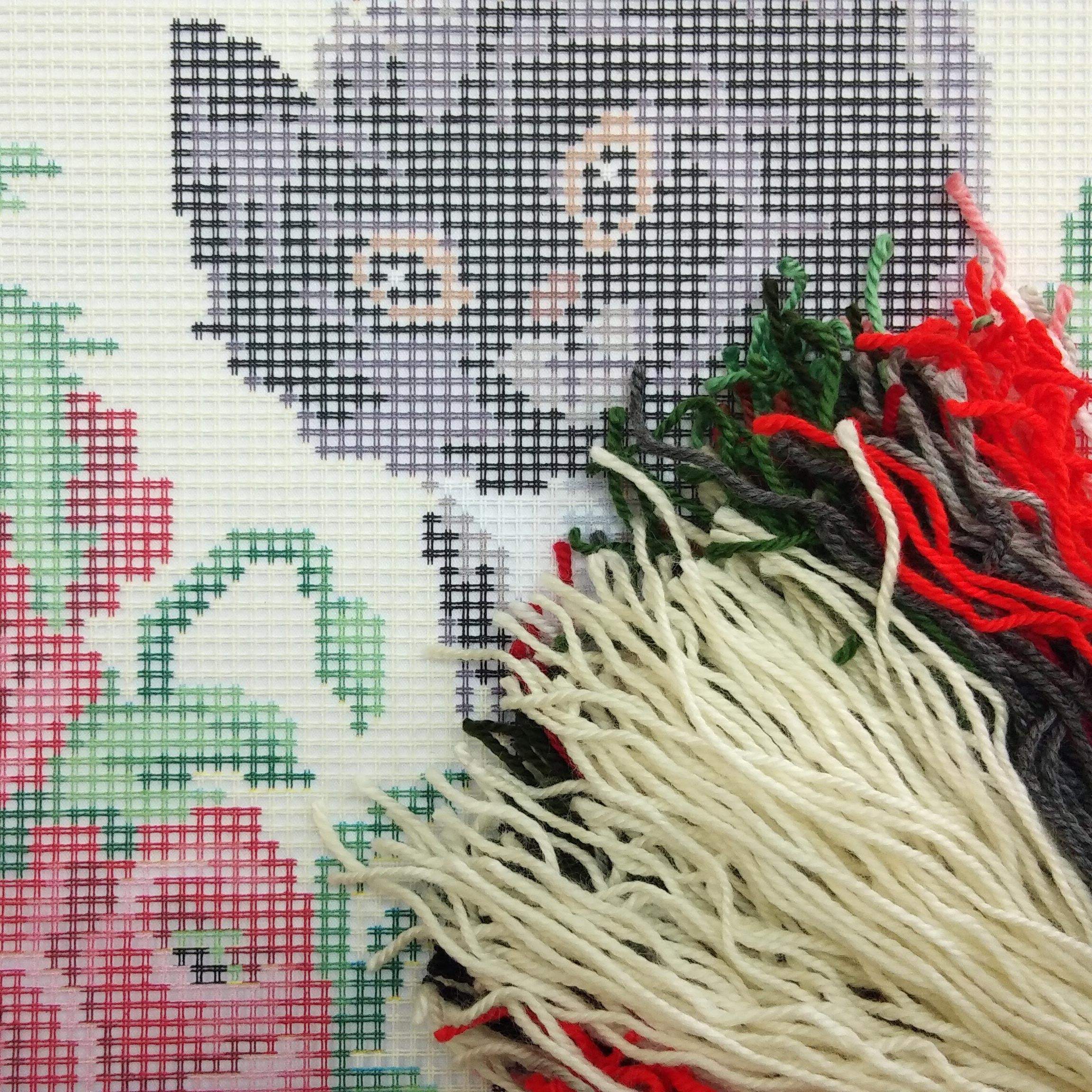 Kit Ricamo Gatto Con Papaveri - Set Per Principianti 16x16 Cm, Con Tessuto Zweigart E Filo