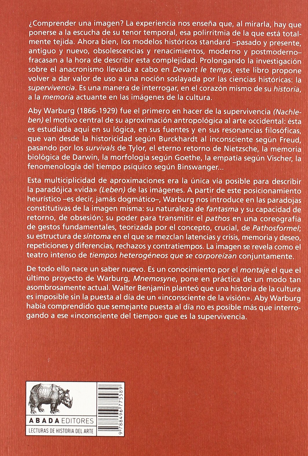 Imagen Superviviente,La