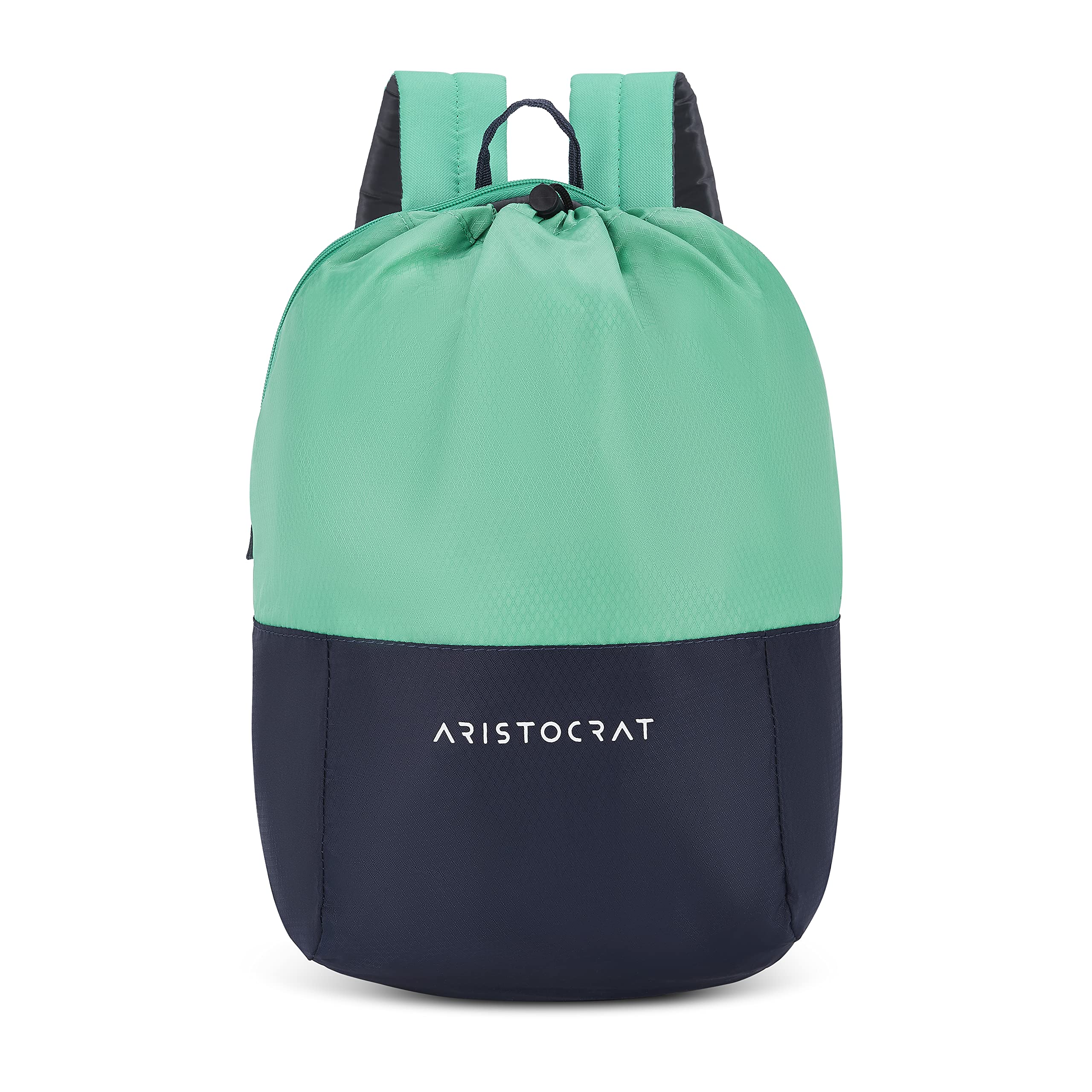 Aristocrat 15 Ltrs 41 Cms Laptop Backpack Bpdrpketel Teal Blue
