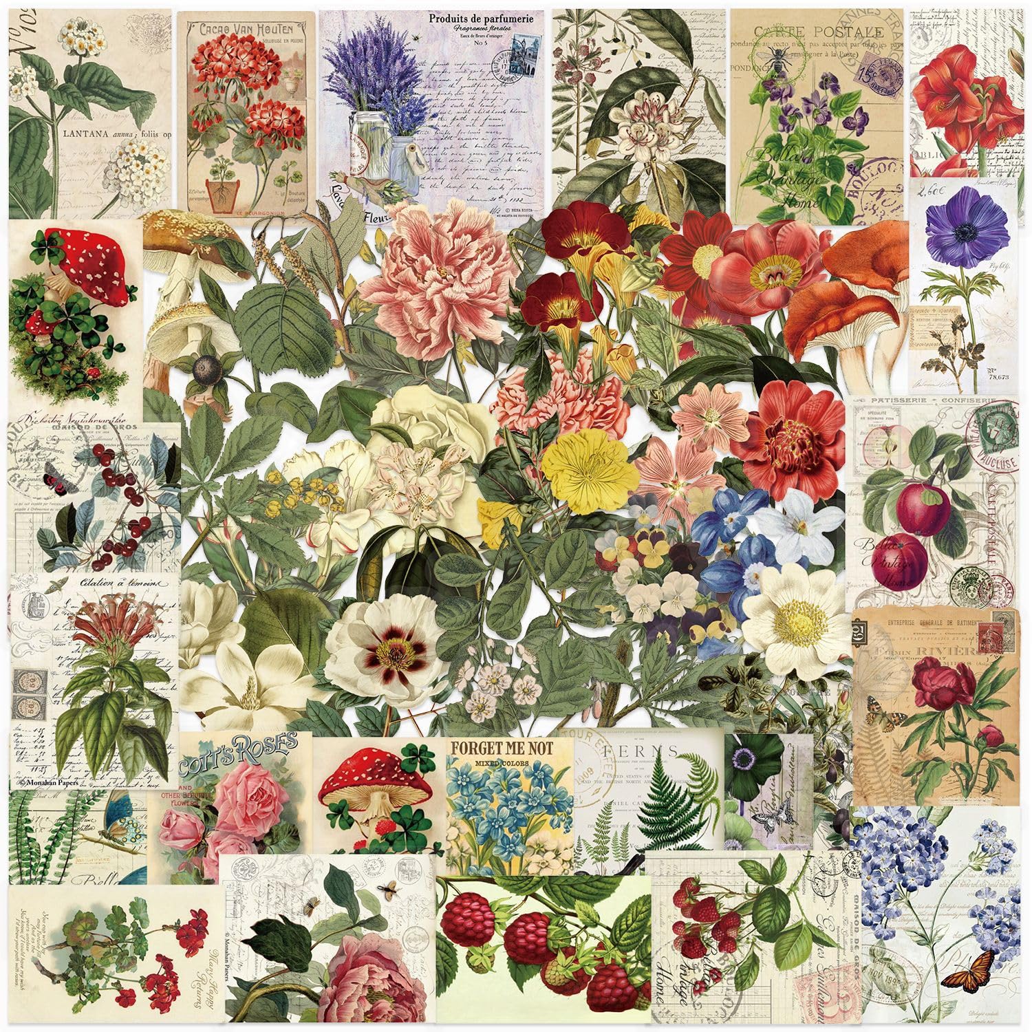 50Pcs Vintage Plant Stickers Pack, Waterproof PET Aesthetic Flowers & Nature Stickers for Scrapbook Journaling, Kindle Case