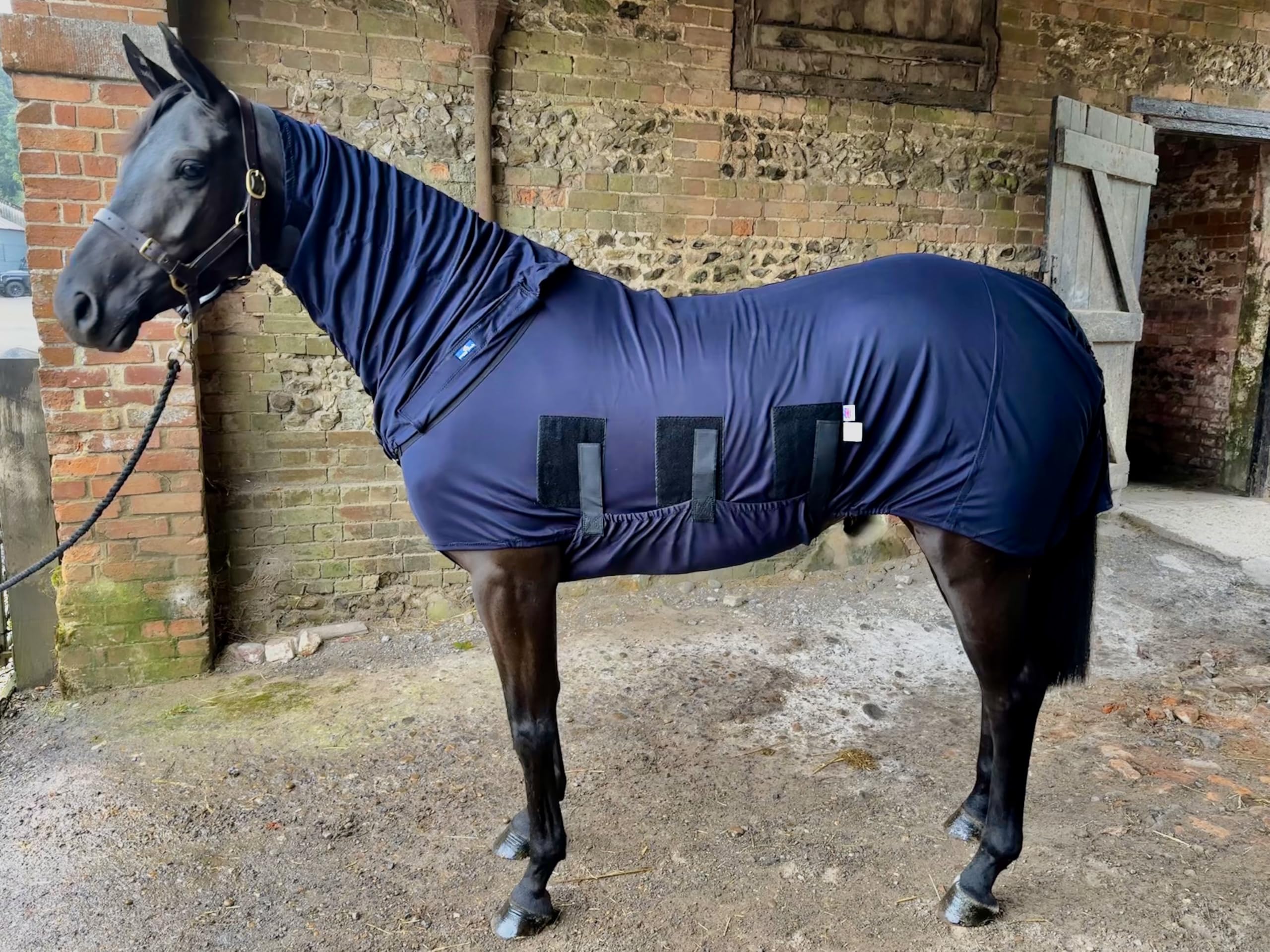 Base Body Rug for Horses and Ponys with Neck