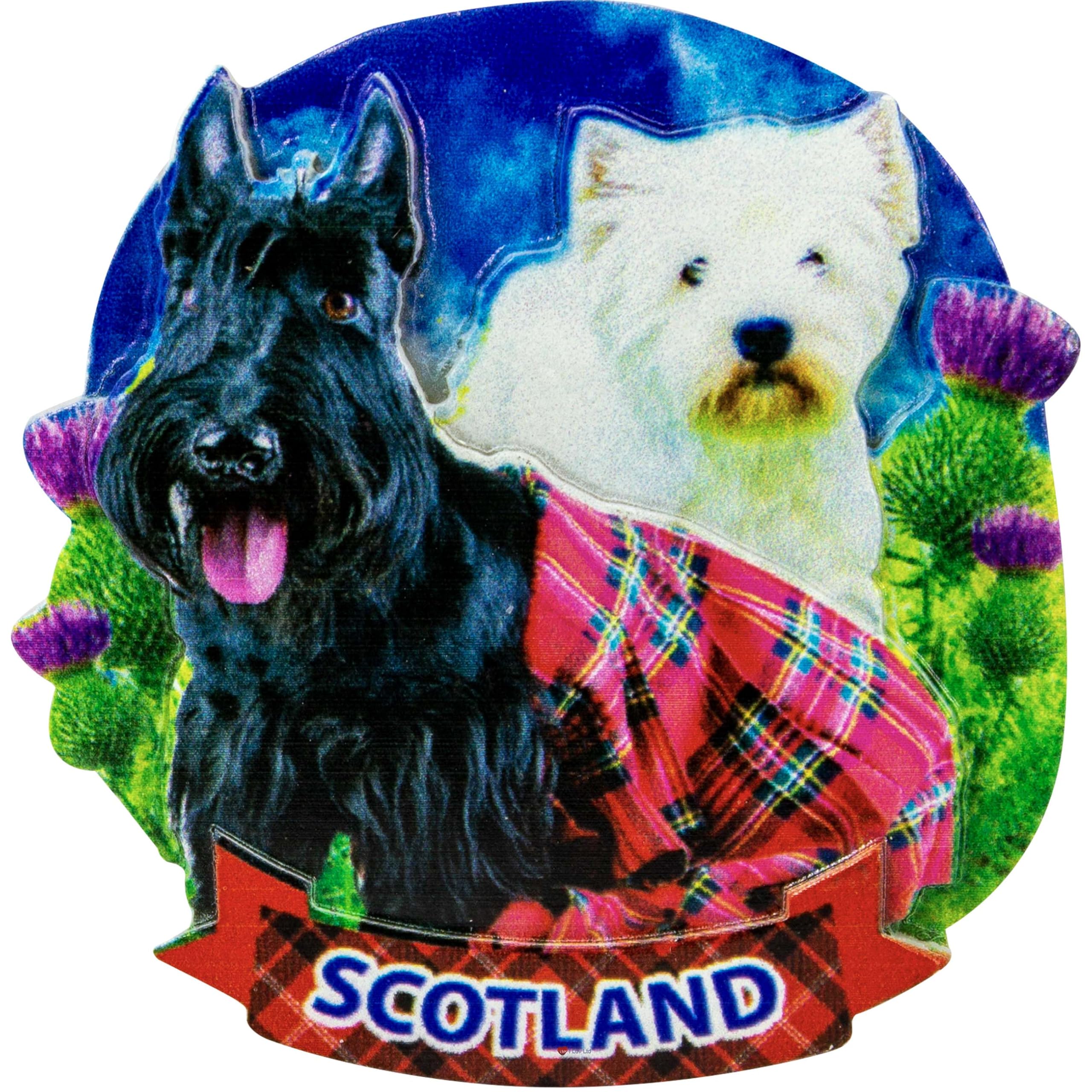 I Luv Ltd Black & White Scottie Dogs Scottish Fridge Magnet Resin With 3D Effect, Scottie Dogs Black And White With Scotland Banner, Hand-Painted Resin Travel Sticker Souvenir, Handmade Home & Kitchen Collection Gift