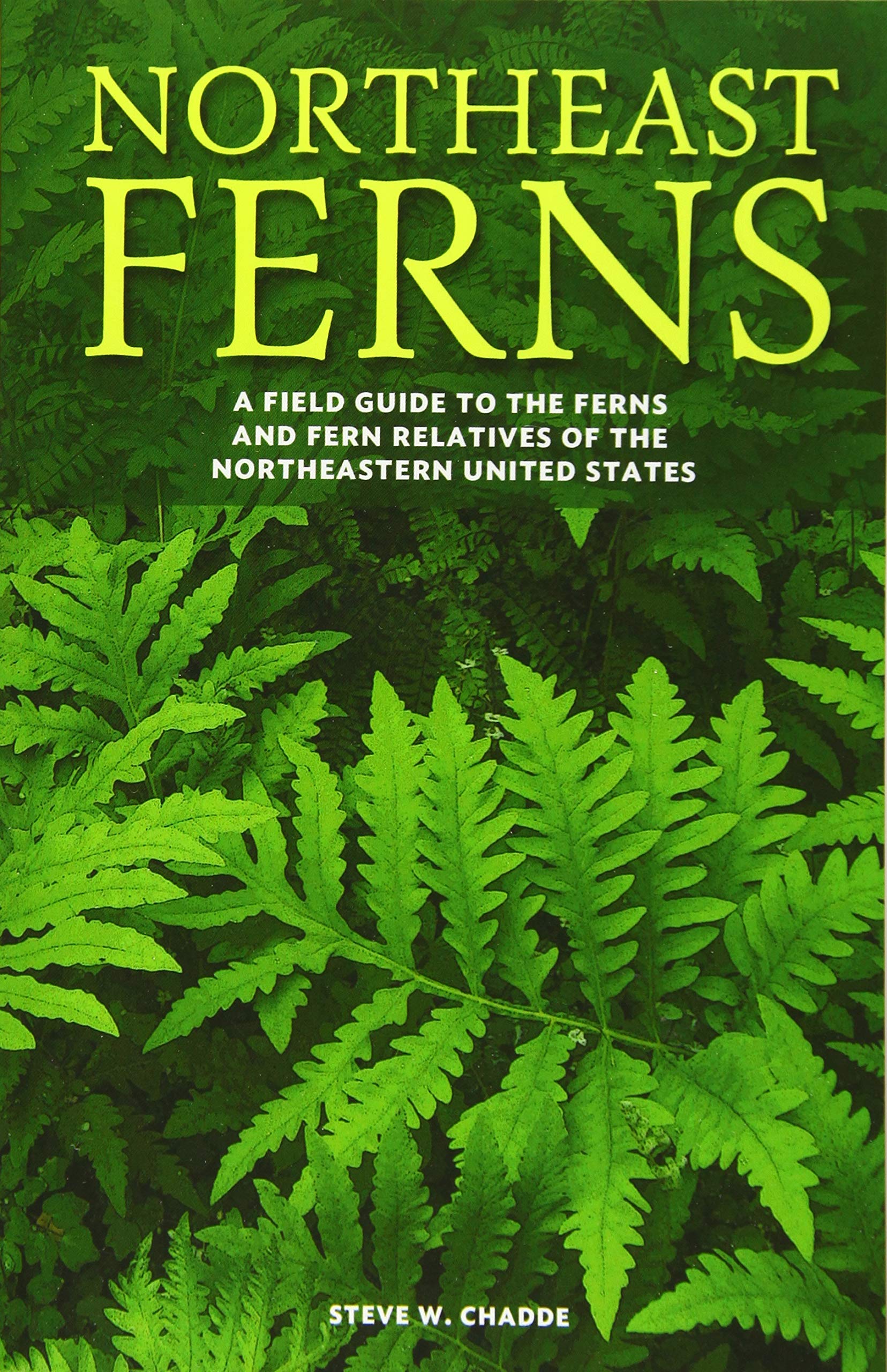 Northeast Ferns: A Field Guide to the Ferns and Fern Relatives of the Northeastern United States