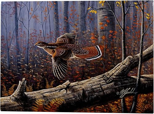 Planeador Windfall Ruffed Grouse de Wilhelm Goebel, 24x32 pulgadas
