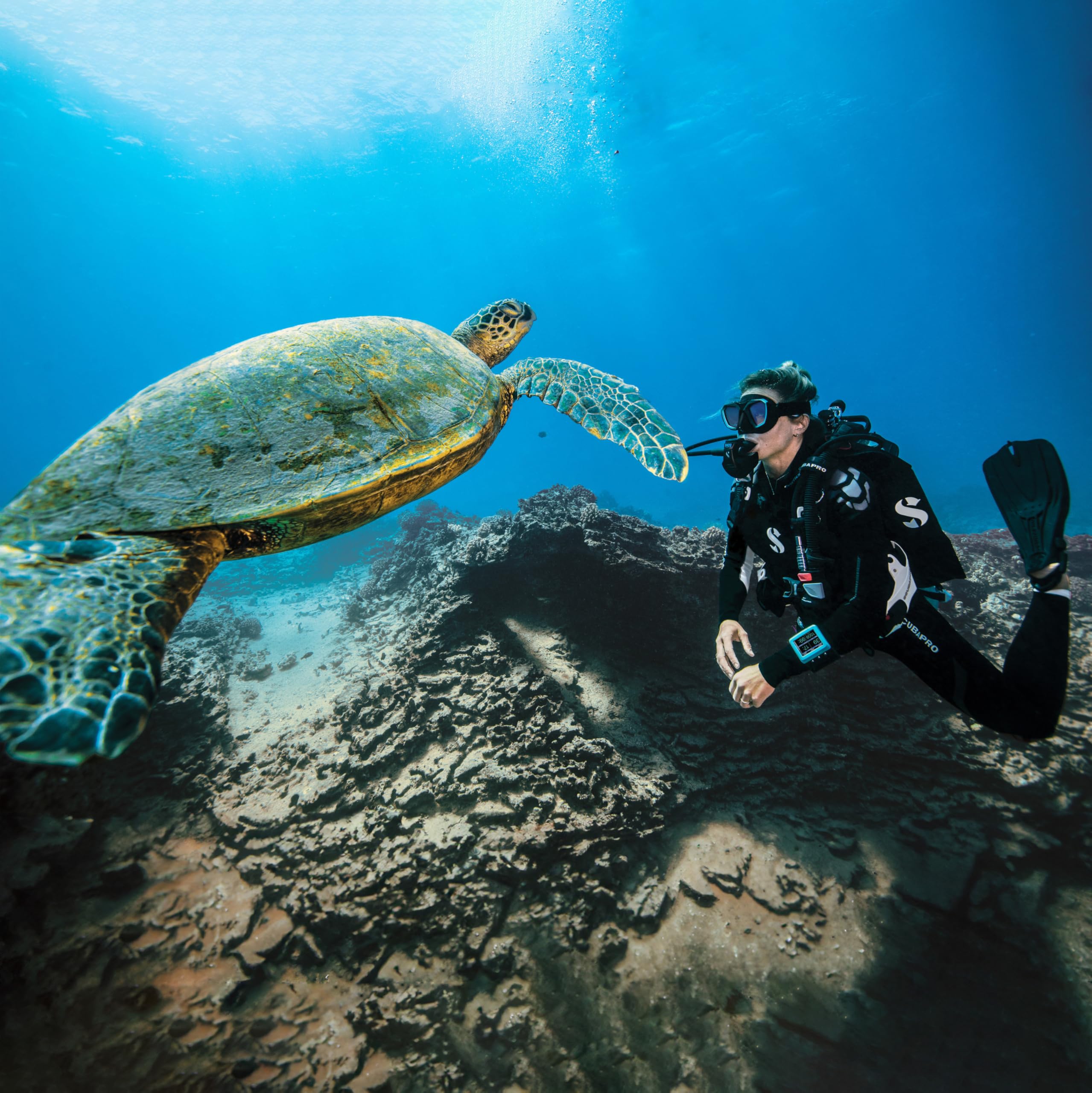 SCUBAPRO Comfort Strap - Kit di erogatore per immersioni in acqua fredda, confezione da 1