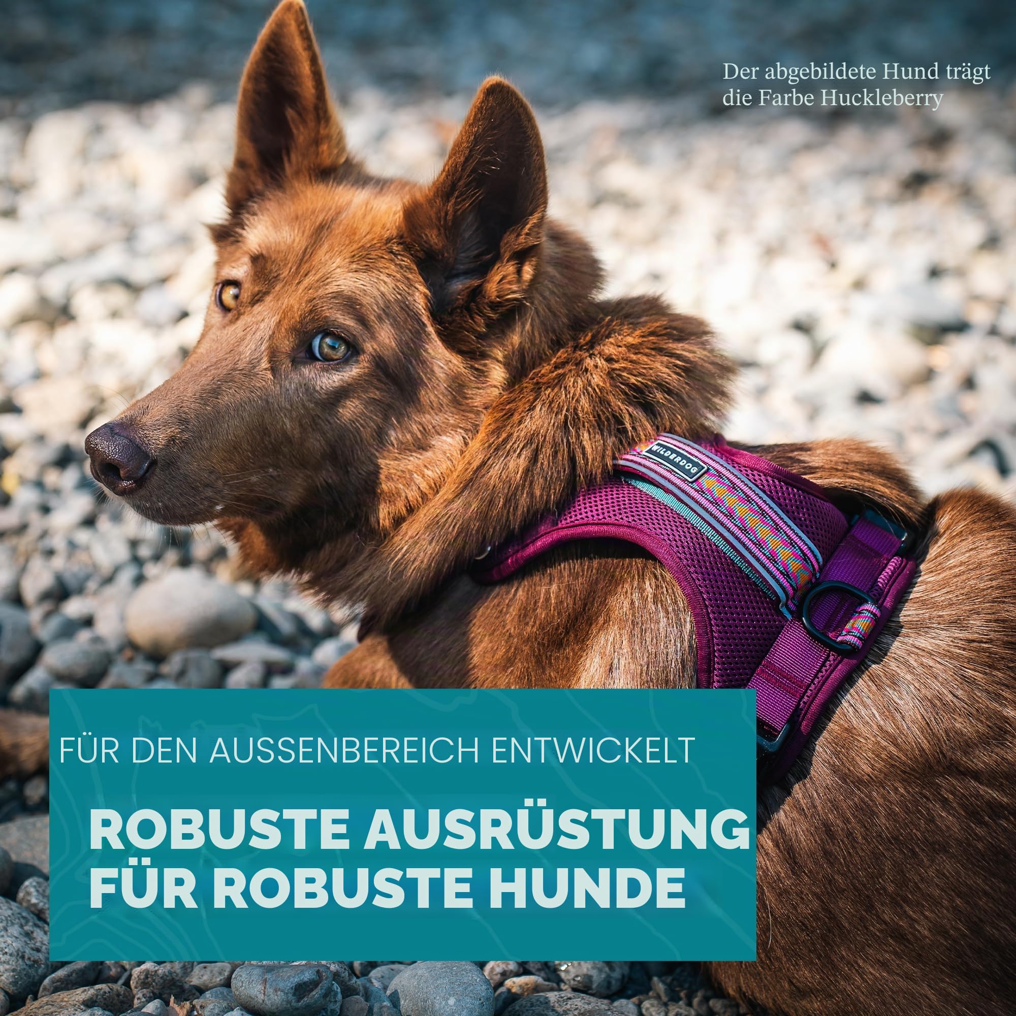 Wilderdog Leichtes Hundegeschirr mit reflektierenden Riemen, Größe M, Huckleberry