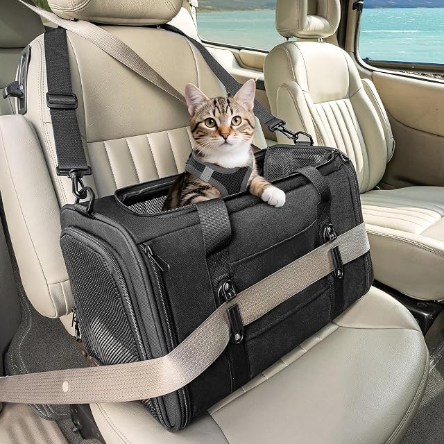 Petsfit Cat Travel Carrier Airline Approved -Soft-Sided Small Dog Carrier with Patented Car Buckle,Pet Carrier with Adjustable Shoulder Straps and Soft Cushion Black