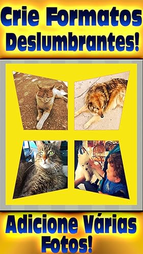 Foto Premium Especialista – Colagem de Fotos, Efeitos de Fotografia + Editor de Fotos