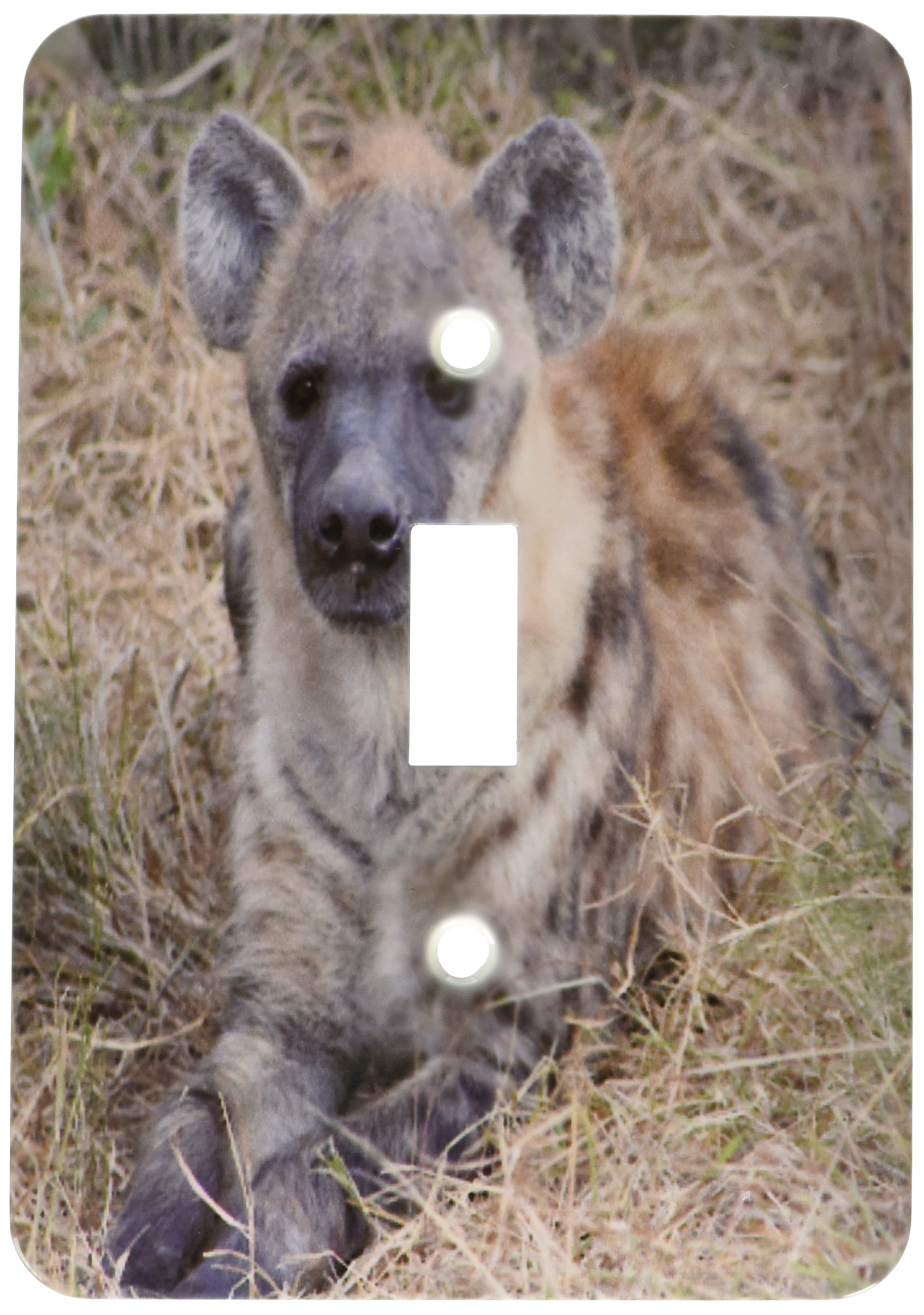 3dRose lsp_20114_1 South African Hyena Front View Single Toggle Switch