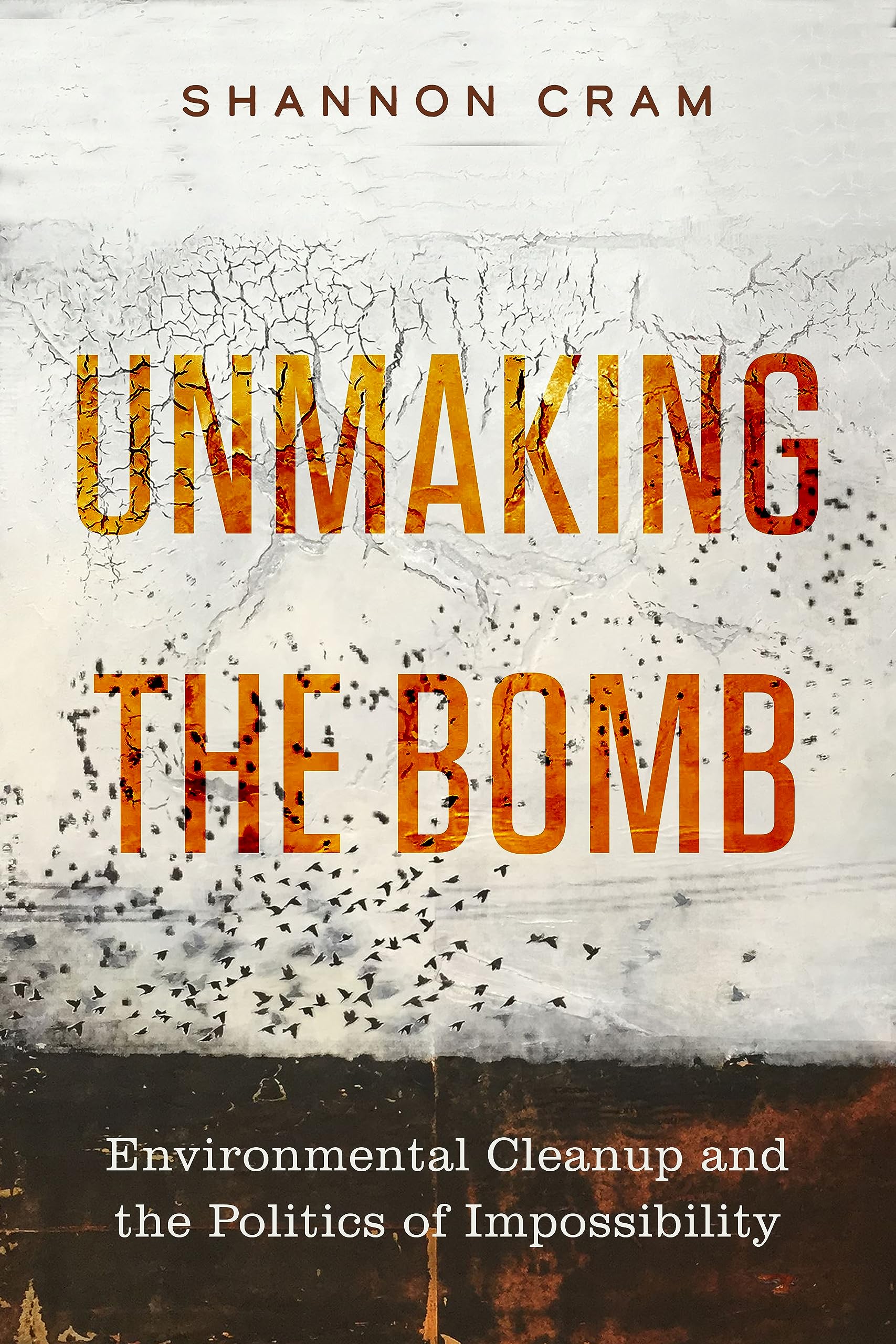 Unmaking the Bomb: Environmental Cleanup and the Politics of Impossibility (Critical Environments: Nature, Science, and Politics Book 14)