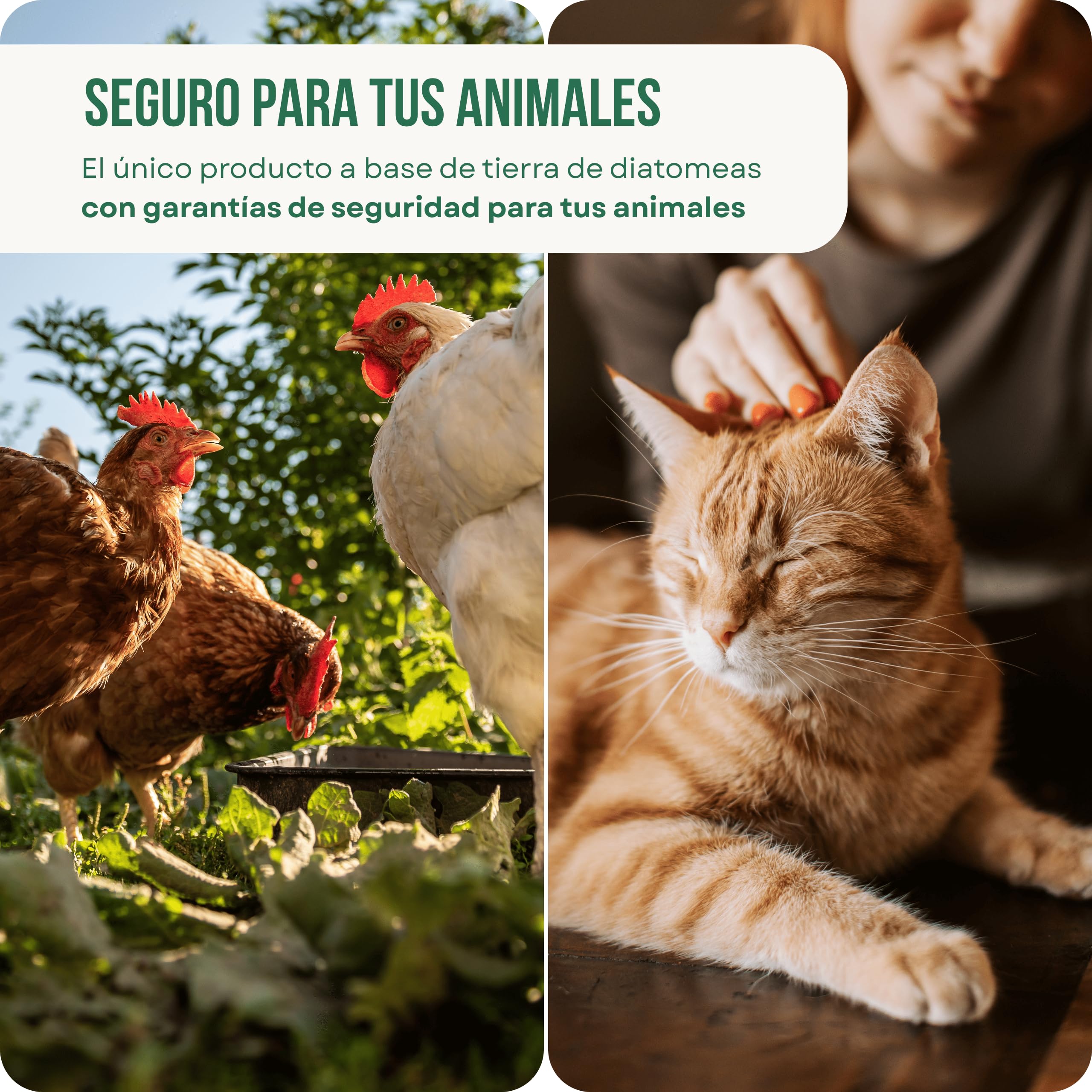 ECO Tierra de Diatomeas® Micronizada 5kg+1kg – Complemento mineral a base de Tierra de Diatomeas, Sin Calcinar, para Alimentación Animal – Seguridad, Calidad y Compromiso desde 2015