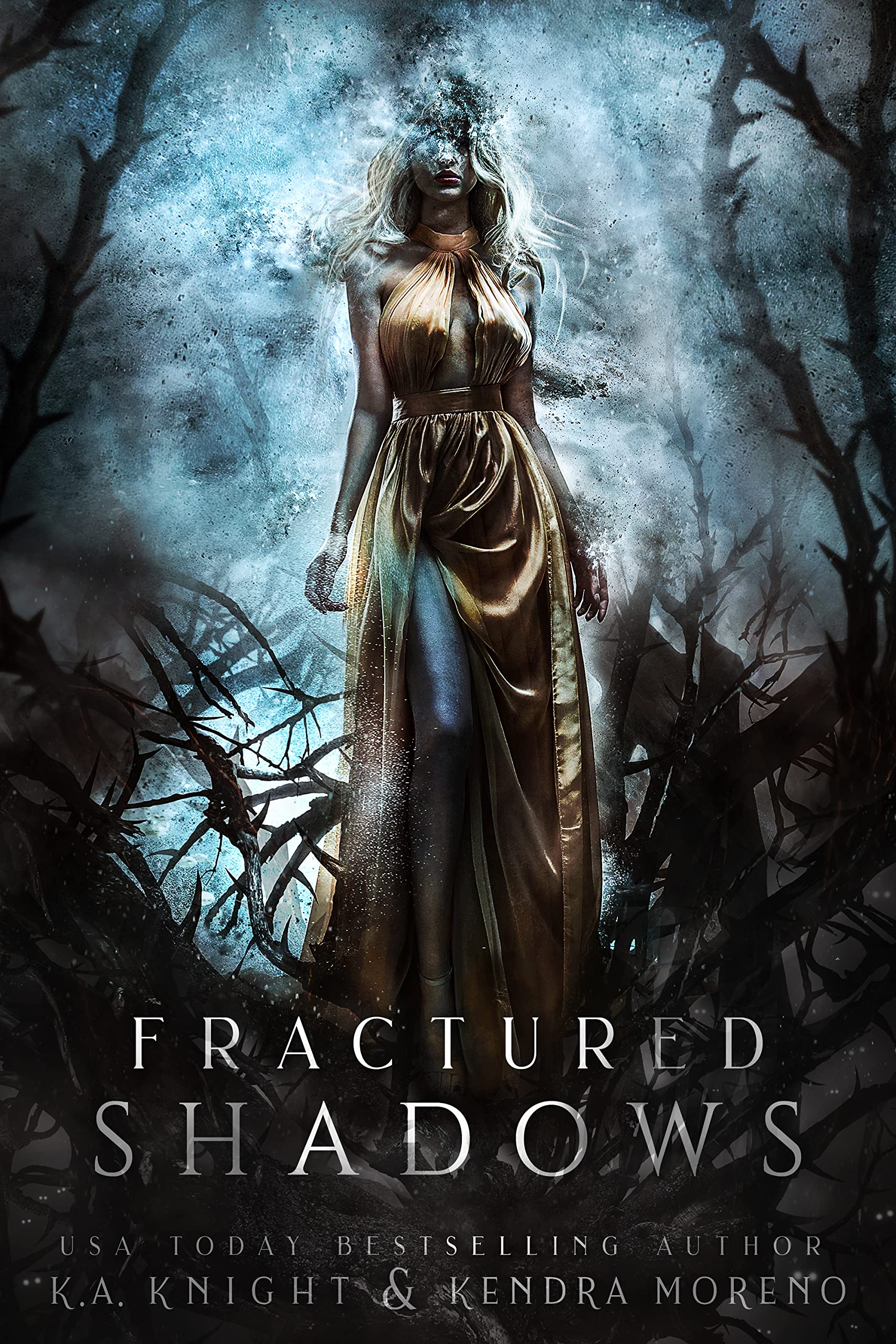 Cover of Fractured Shadows