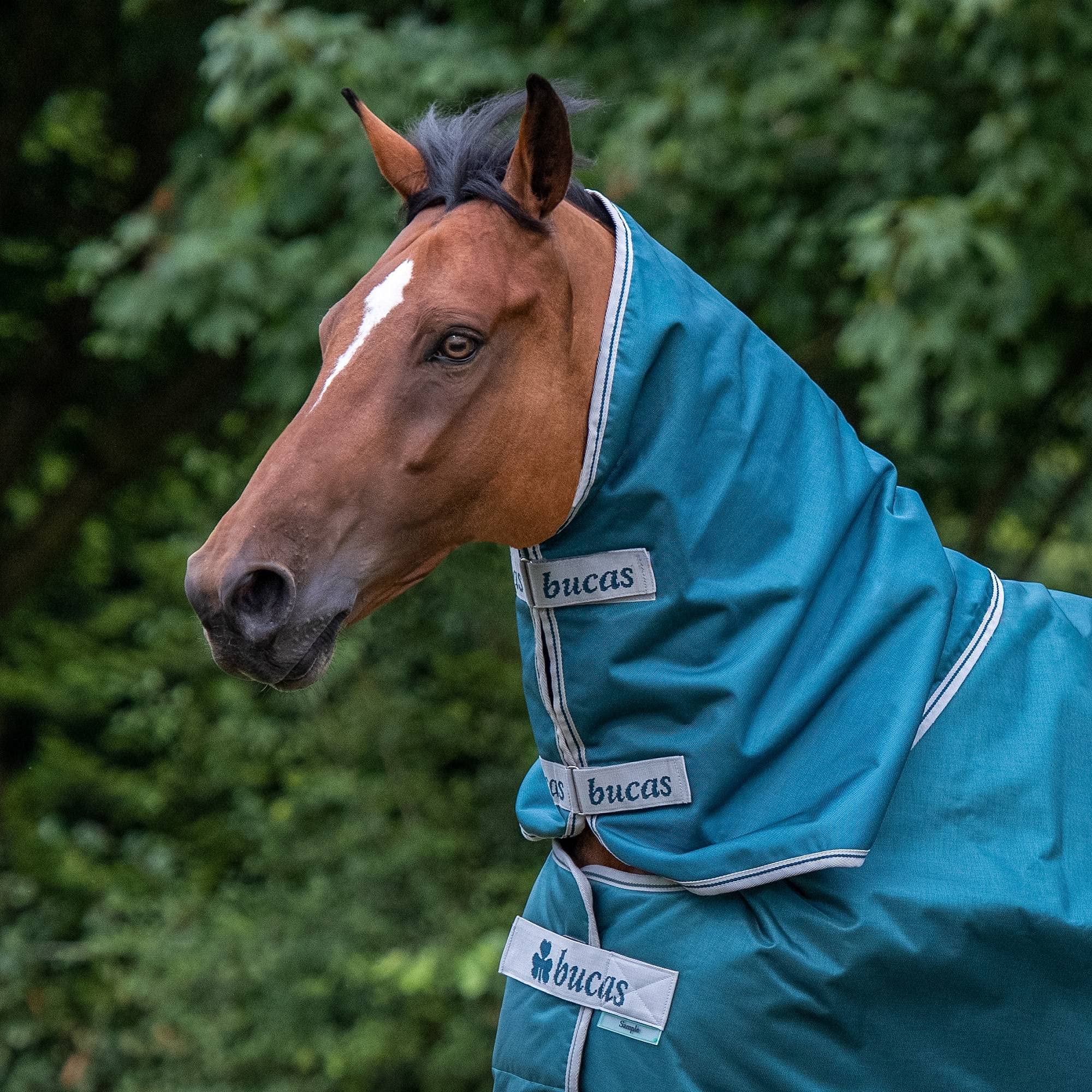 Bucas, Atlantic Combi Neck, Spruce, X-Large