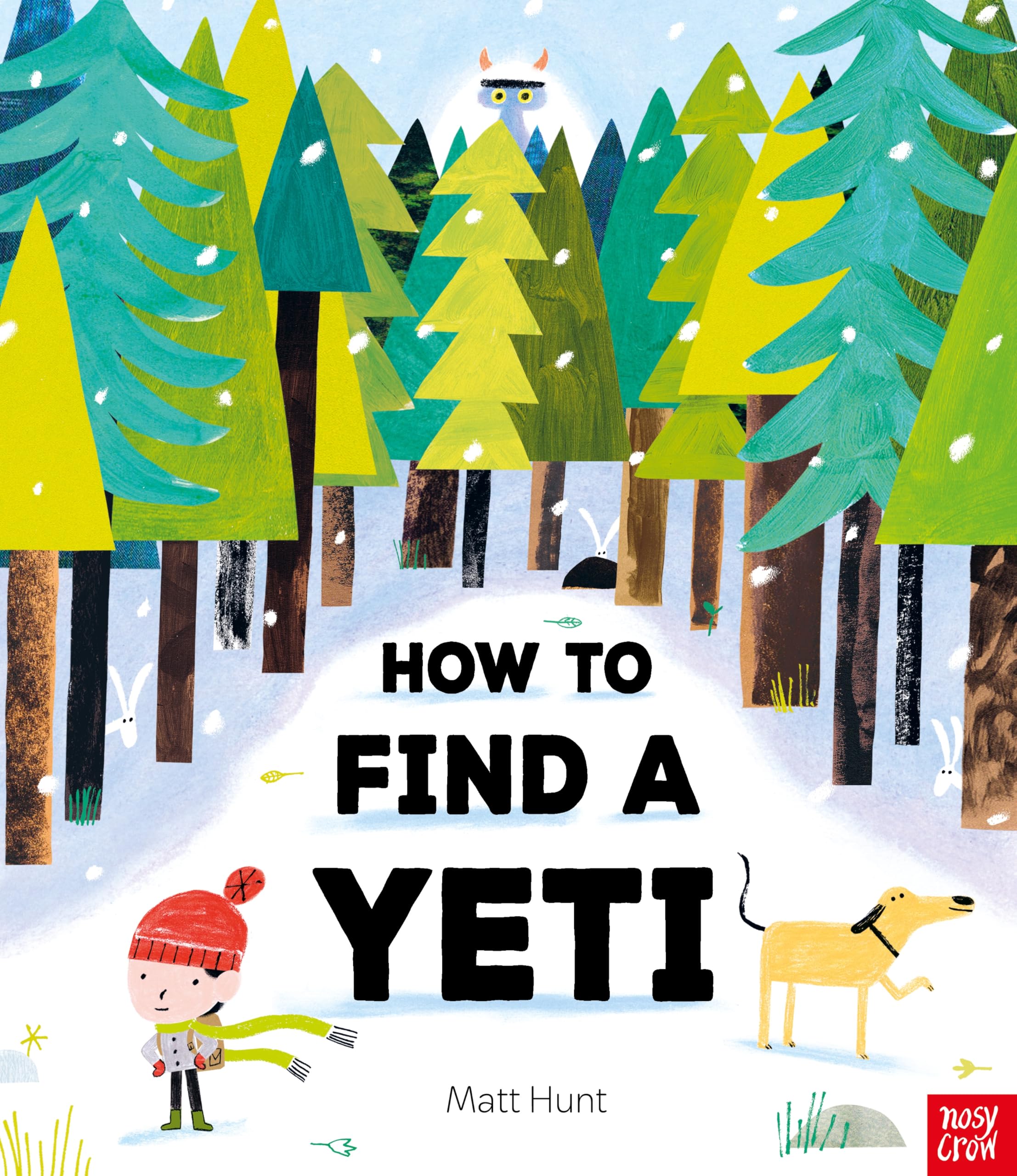 How to Find a Yeti by Matt Hunt (Paperback Book)