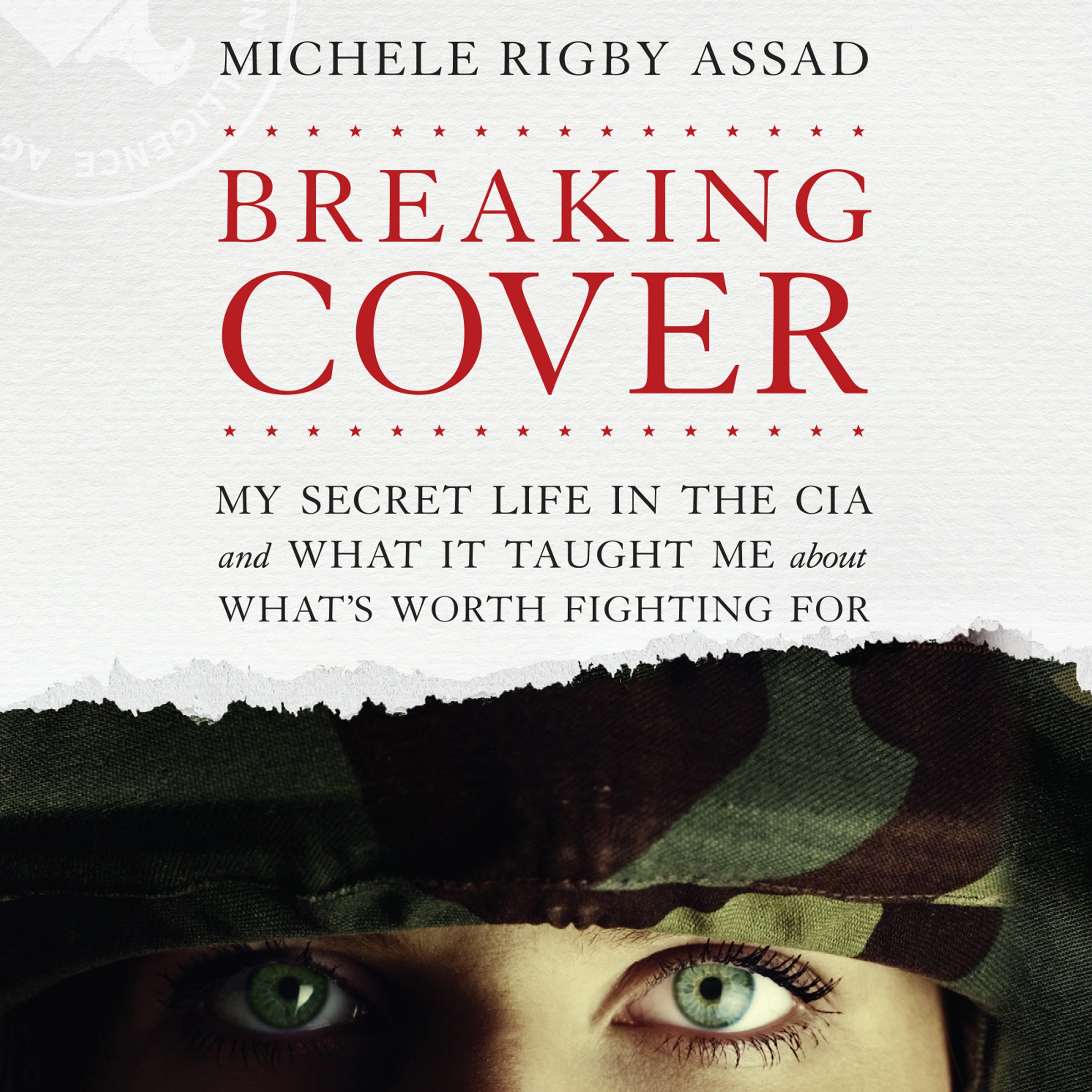 Cover art for Breaking Cover