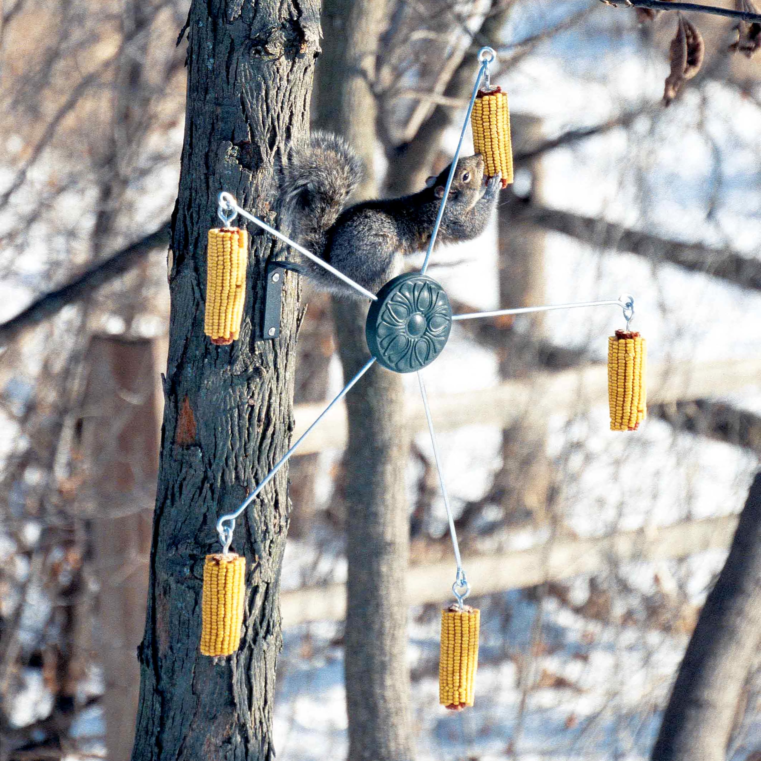 Woodlink 5560 Squirrel-Go-Round mangiatoia per scoiattoli