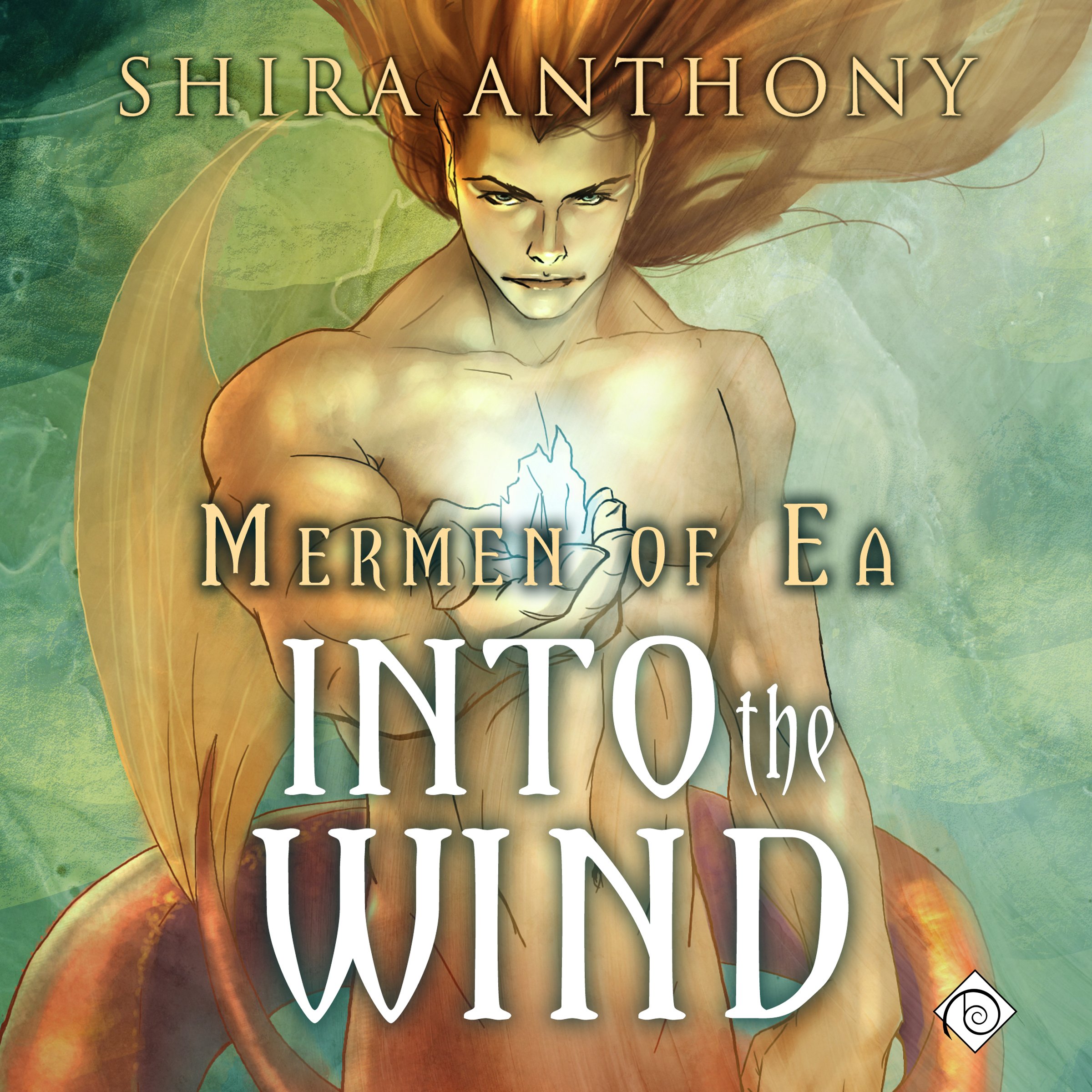 Cover art for Into the Wind
