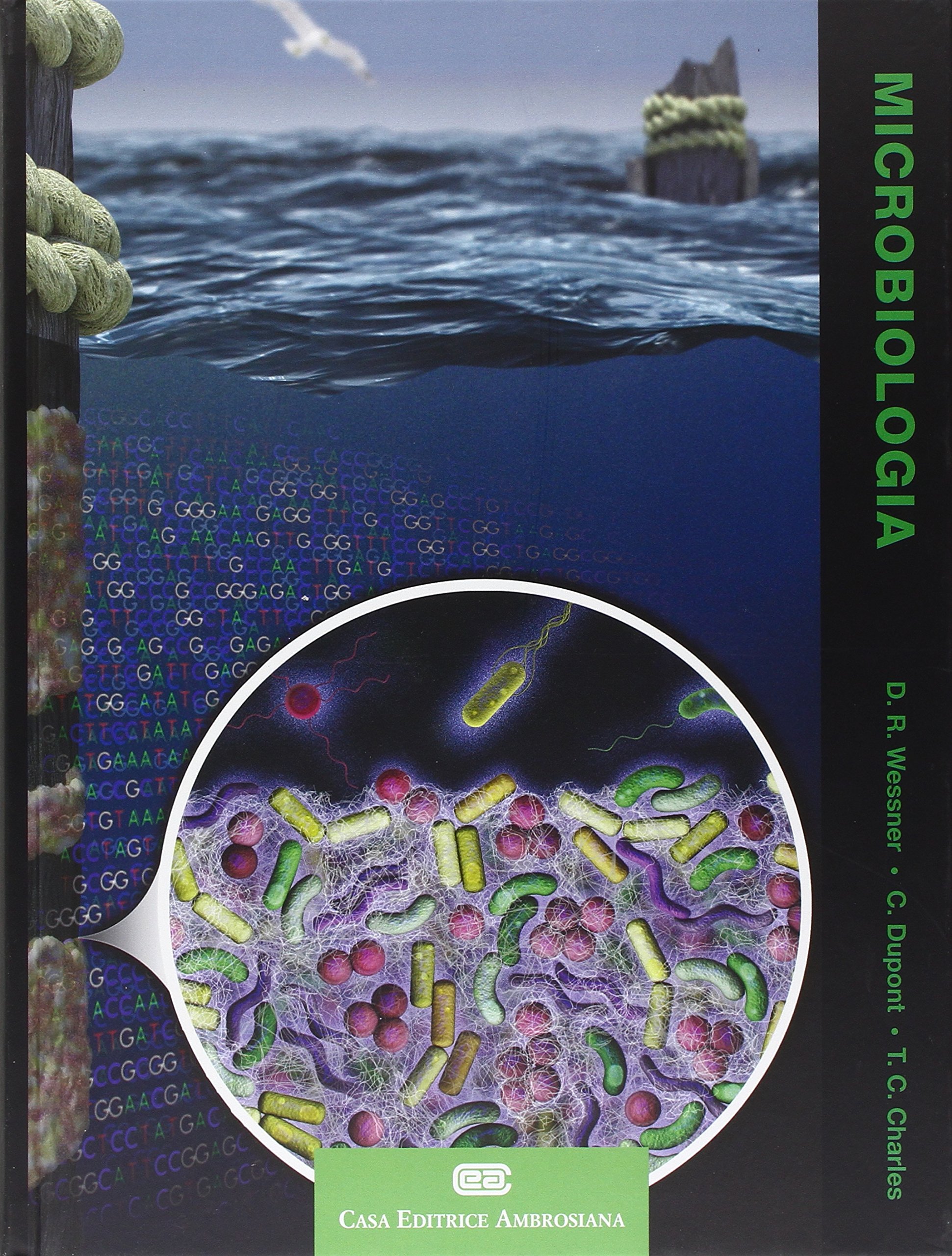 Microbiologia. Con Contenuto digitale (fornito elettronicamente)