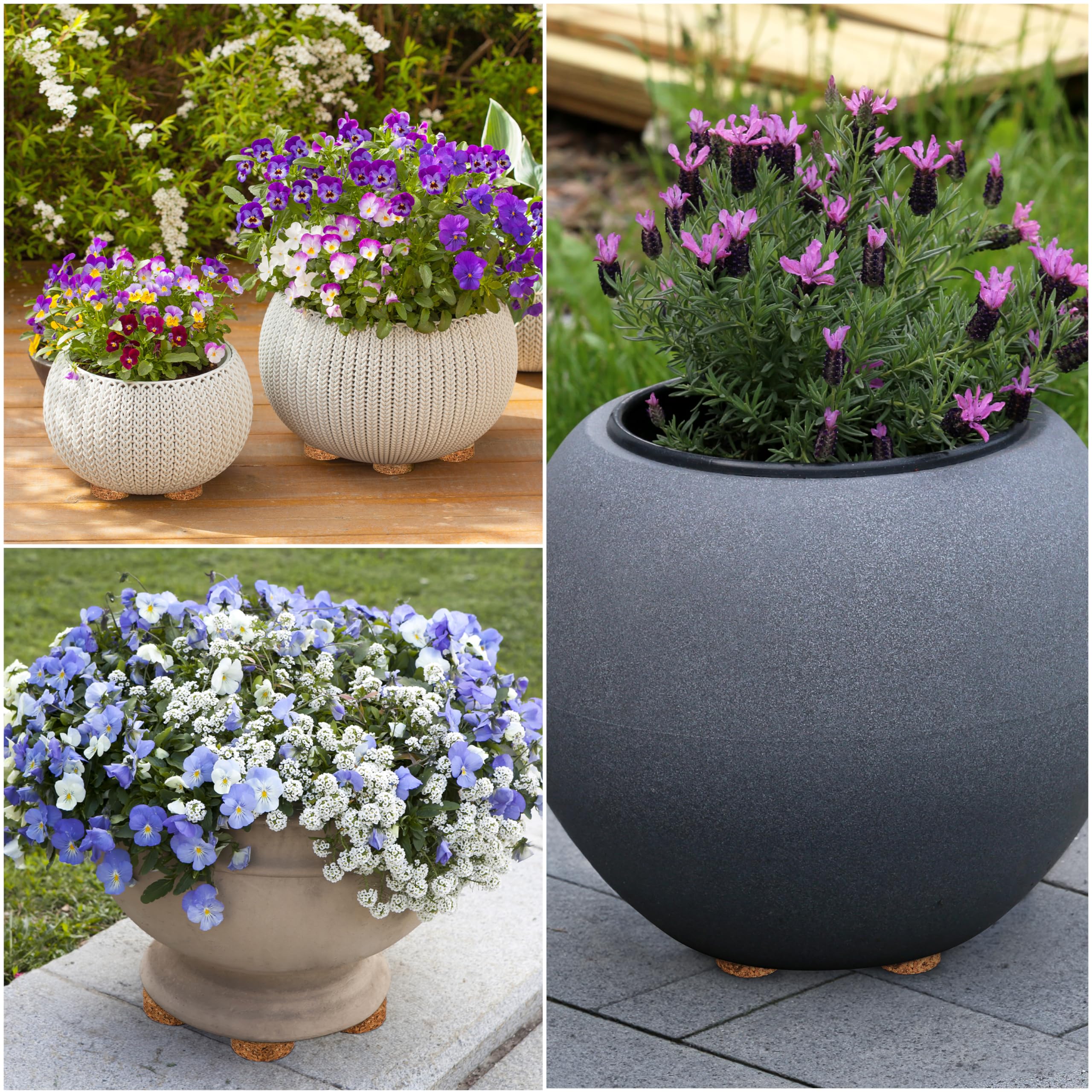 Winter Shore Dessous de Pot de Fleur en Liège Invisibles (Lot de 60) - 5 x 1,5 cm Cale Pot de Fleur - Antidérapants - Jardinières, Terrasse, Jardin, Patio, Carrelage, Sol en Pierre, Intérieur