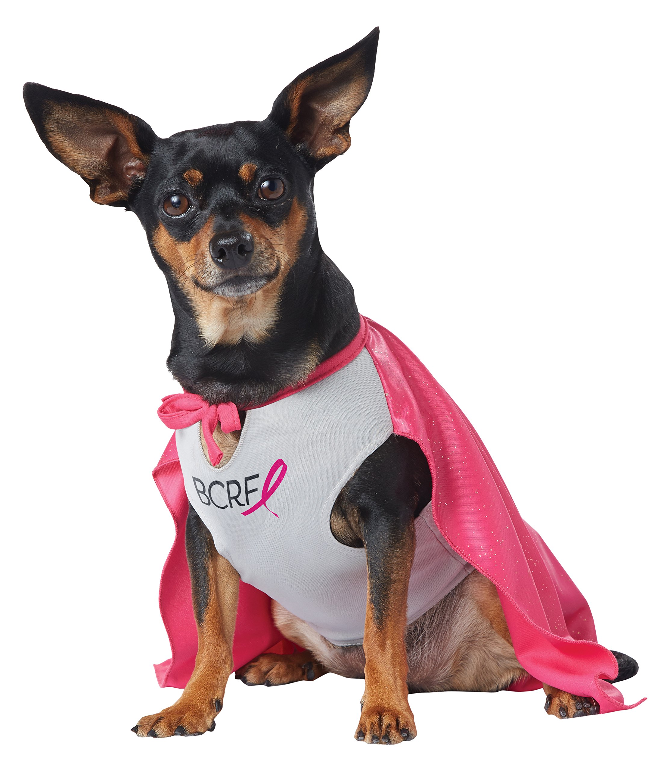 Costume de héros pour chien une tenue confortable qui ne gratte pas l'animal