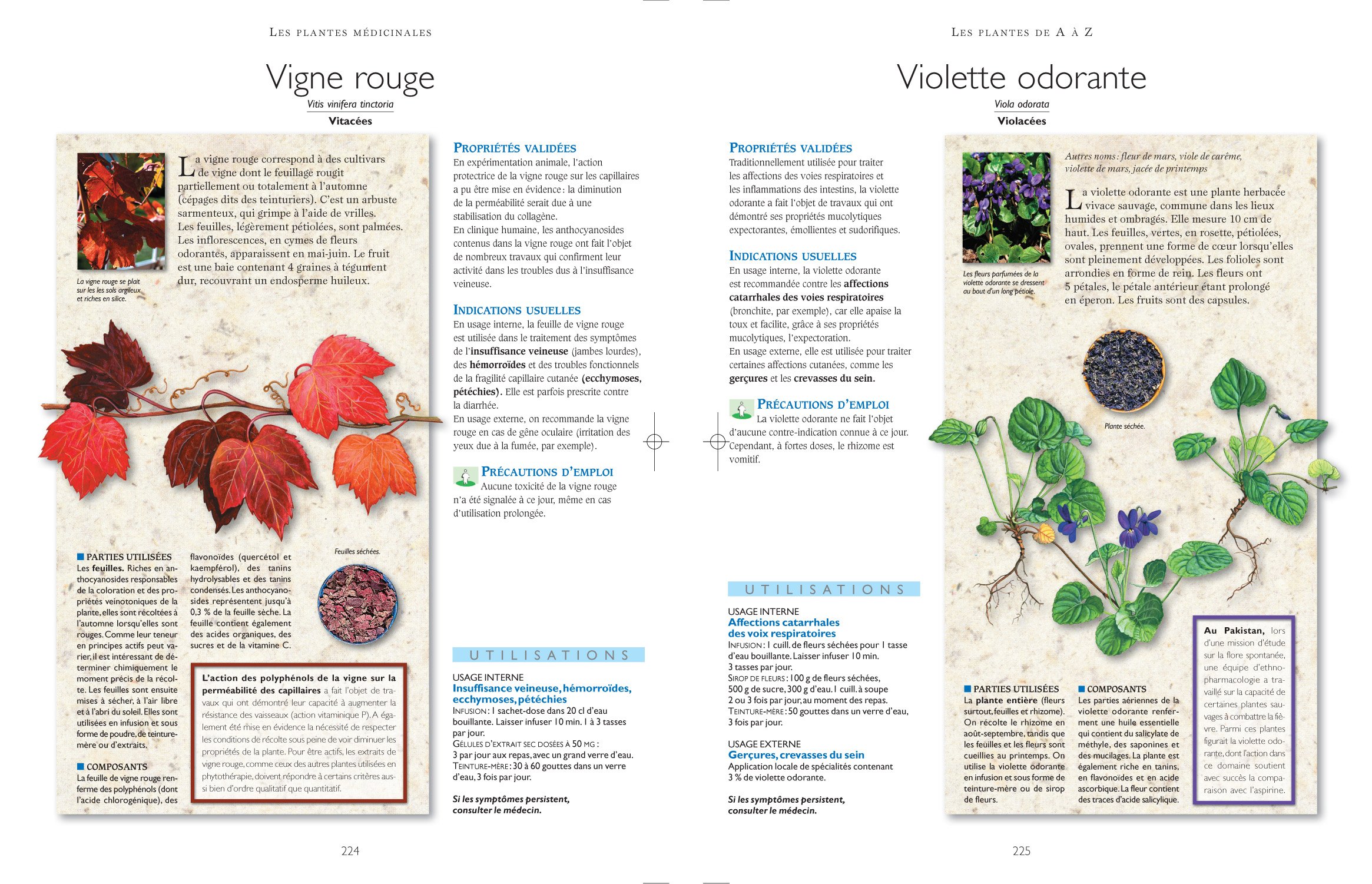 Secrets et vertus des plantes médicinales