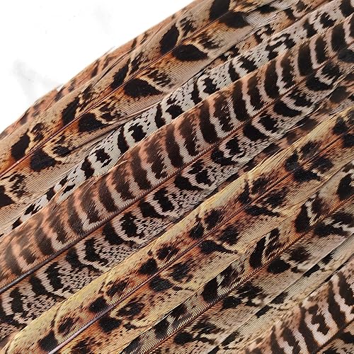 Miniatura 3 de 20 plumas de faisán femenino, plumas naturales de cuello en anillo de 8 a 10 pulgadas, 7.9-9.8 in, para manualidades, hogar, boda, fiesta,
