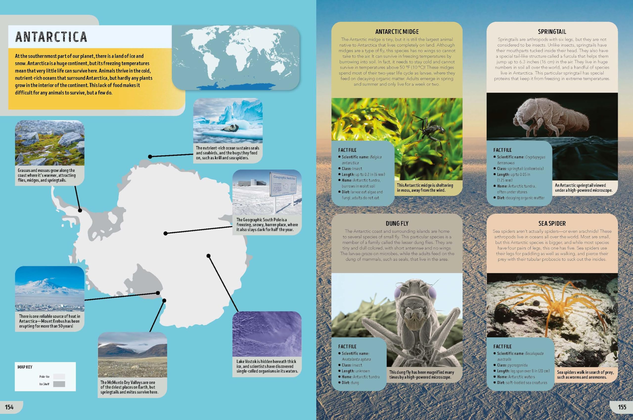 Lonely Planet Kids The Bugs Book: Meet Over 100 Incredible Creepy-Crawlies That Share Our Planet (The Fact Book)