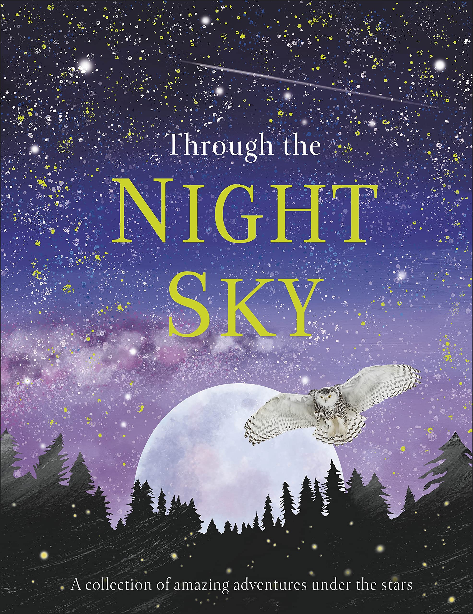 Through the Night Sky by DK (Hardback Book)
