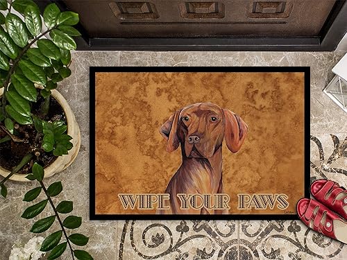 Miniatura 3 de Caroline's Treasures SC9132JMAT - Tapete Vizsla para puerta delantera, 24 x 36 pulgadas, tapete para puerta delantera, interior y exterior,