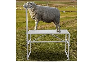 Precision-Crafted Goat Stand: The Ultimate Trimming Solution for Goats