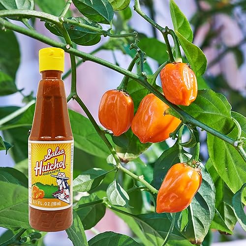 Miniatura 7 de Salsa Salsa Huichol Habanera 1 botella de 65 oz