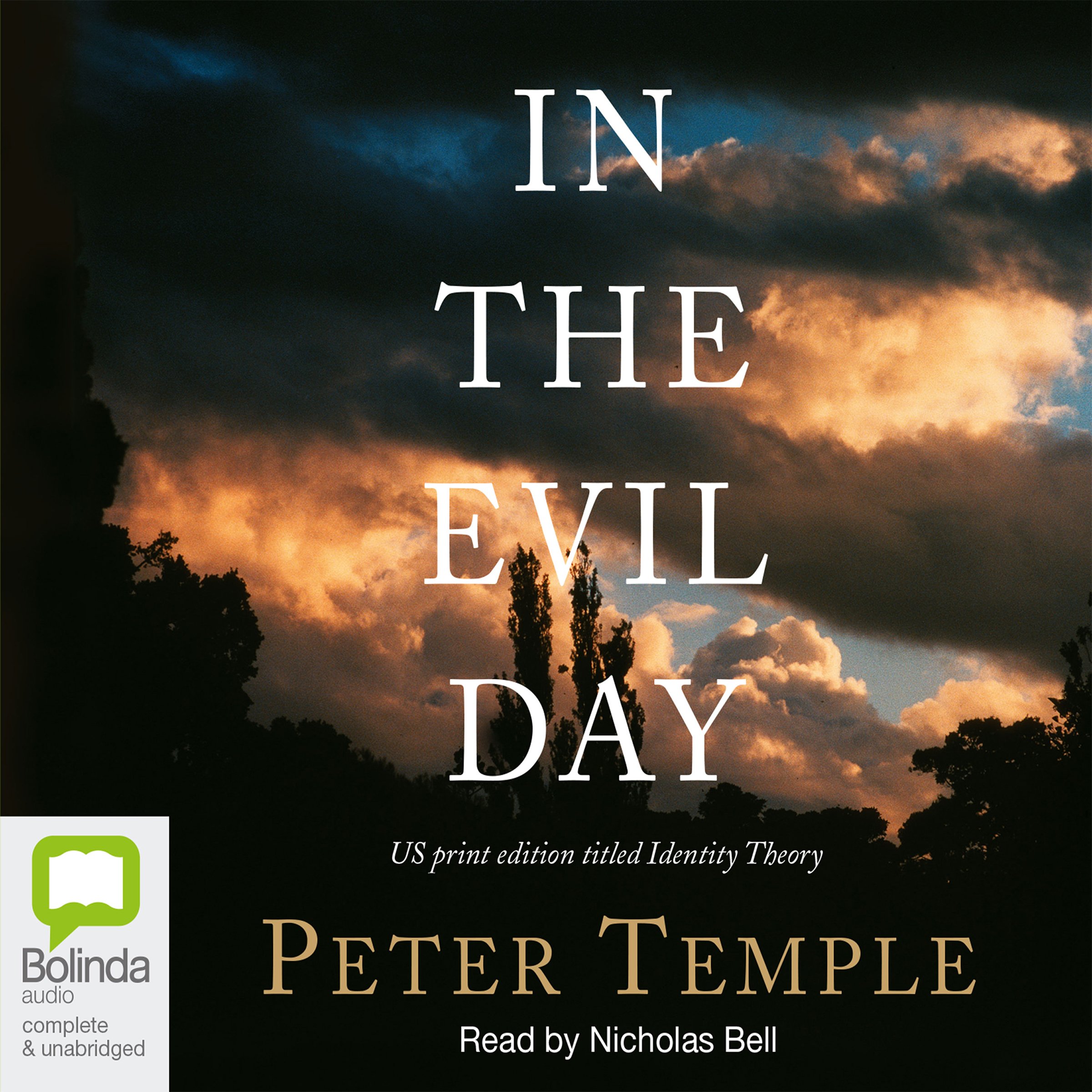 Cover art for In the Evil Day